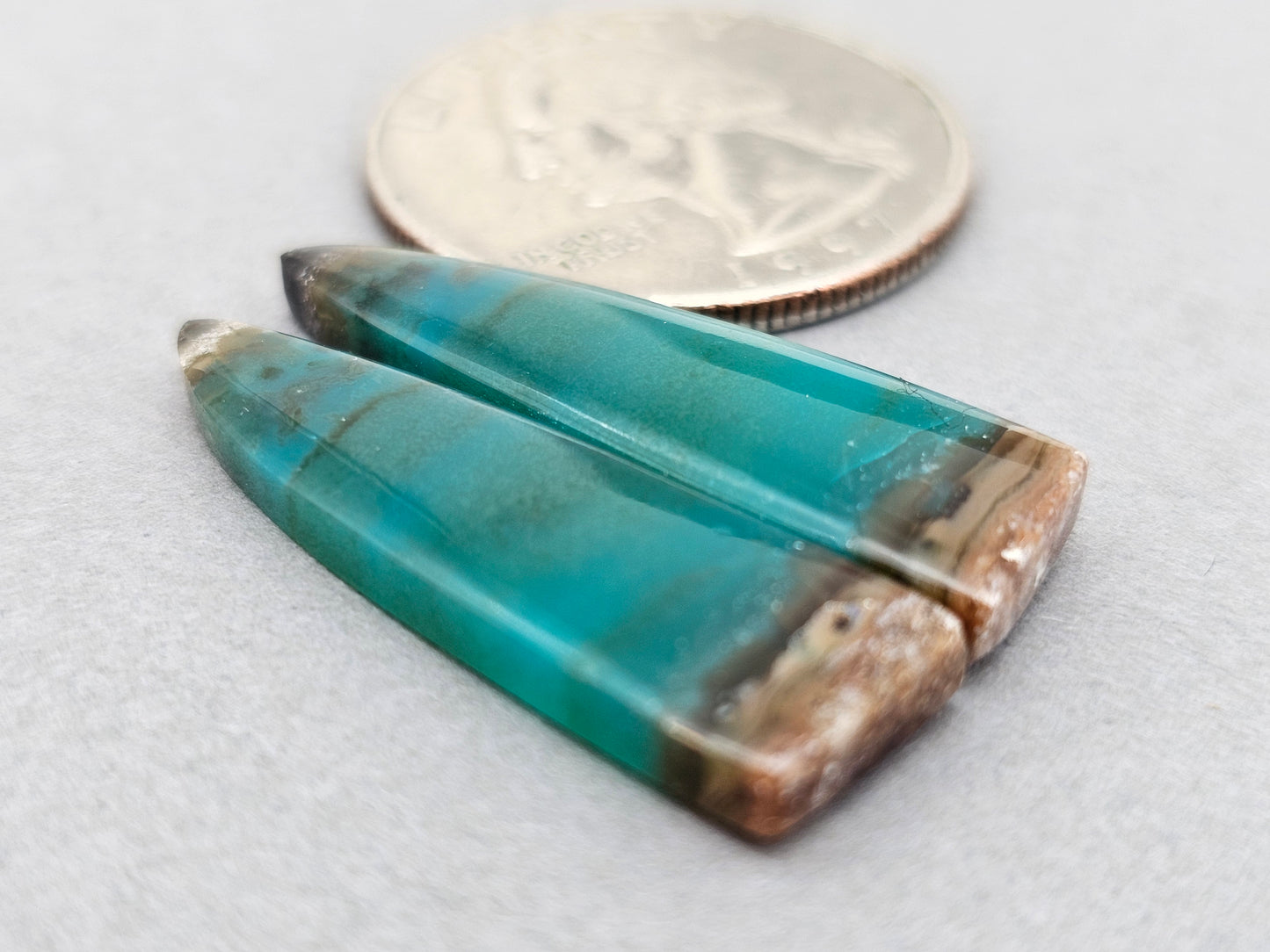 Blue opalized petrified wood Cabochon Pair