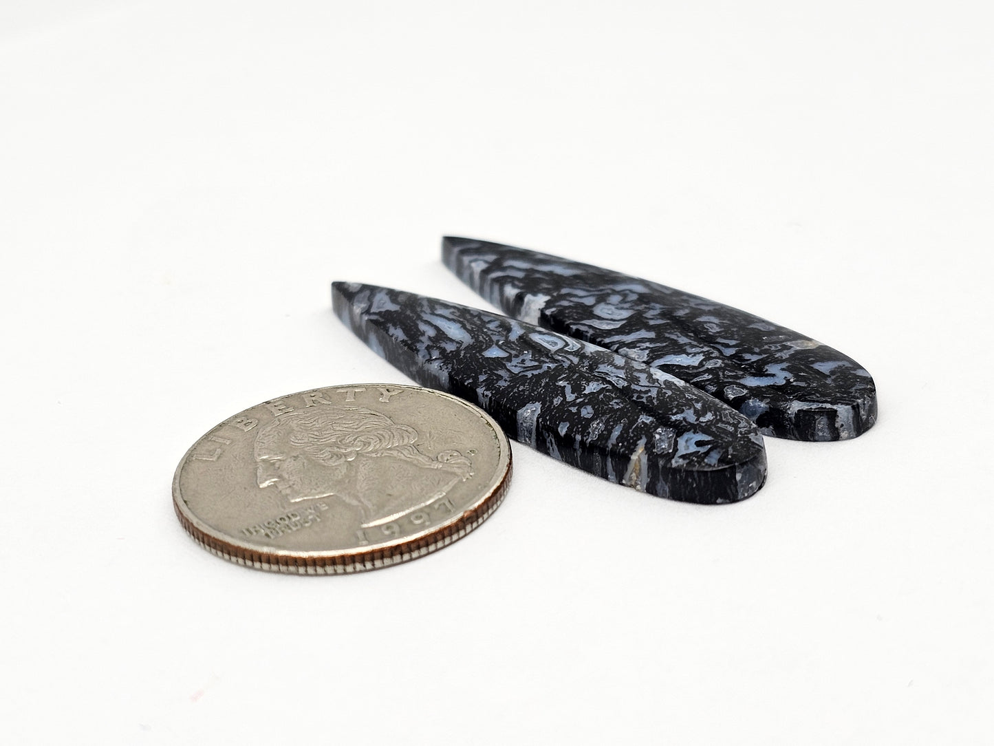 Fossilized dinosaur bone pair