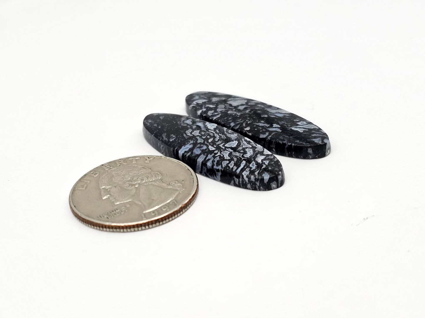 Fossilized dinosaur bone pair