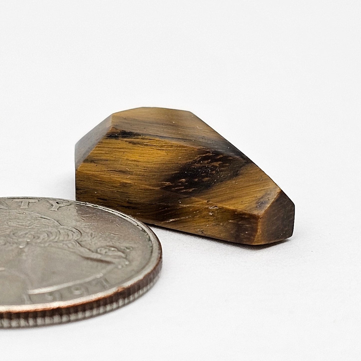 Tiger Eye Geometric Half Faceted Cabochon