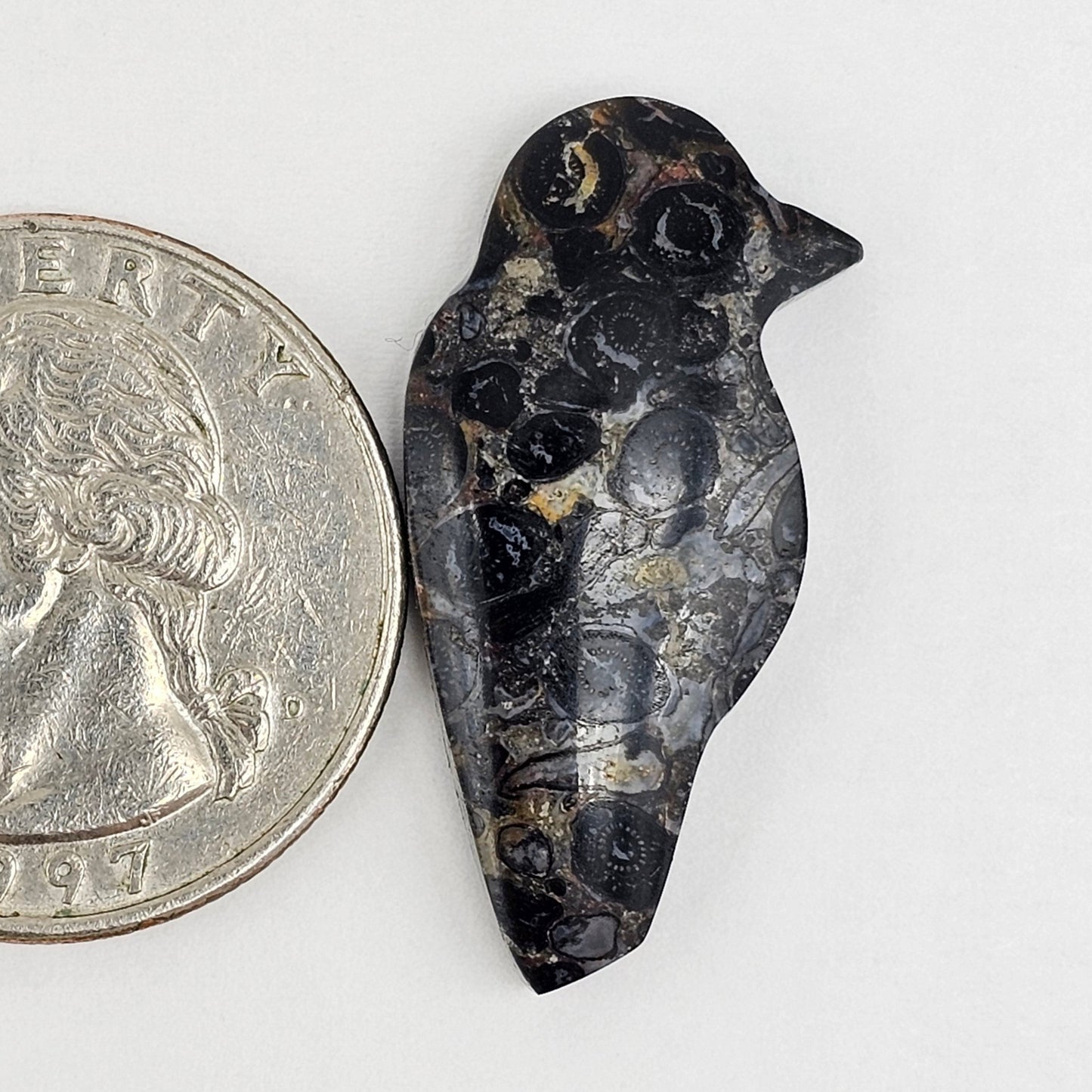 Fossilized Dinosaur Bone Bird Cabochon