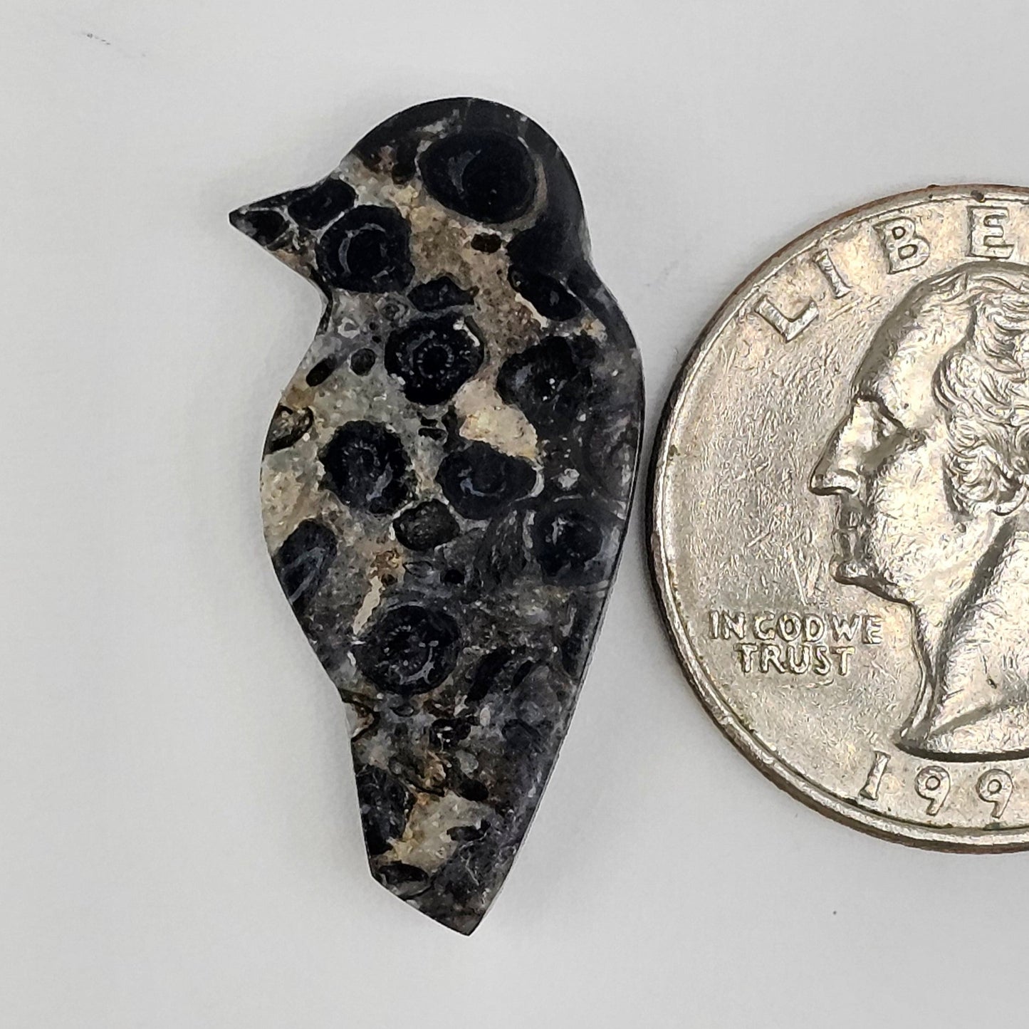 Fossilized Dinosaur Bone Bird Cabochon