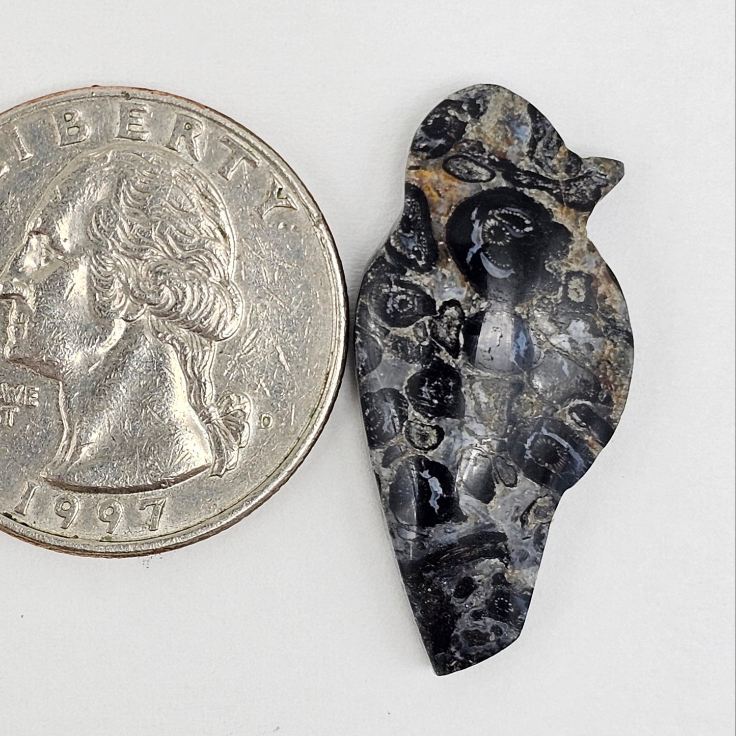 Fossilized Dinosaur Bone Bird Cabochon