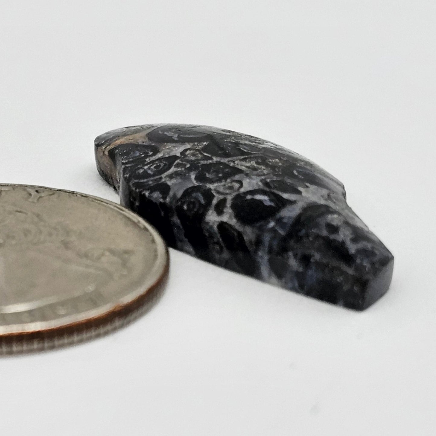 Fossilized Dinosaur Bone Bird Cabochon