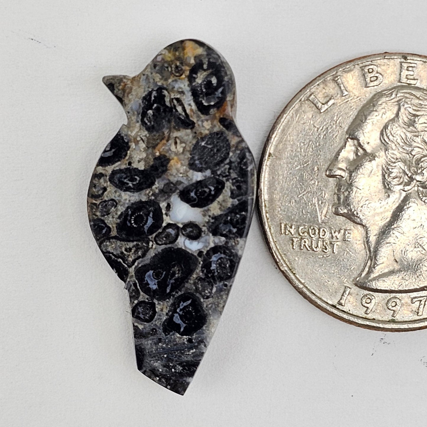 Fossilized Dinosaur Bone Bird Cabochon