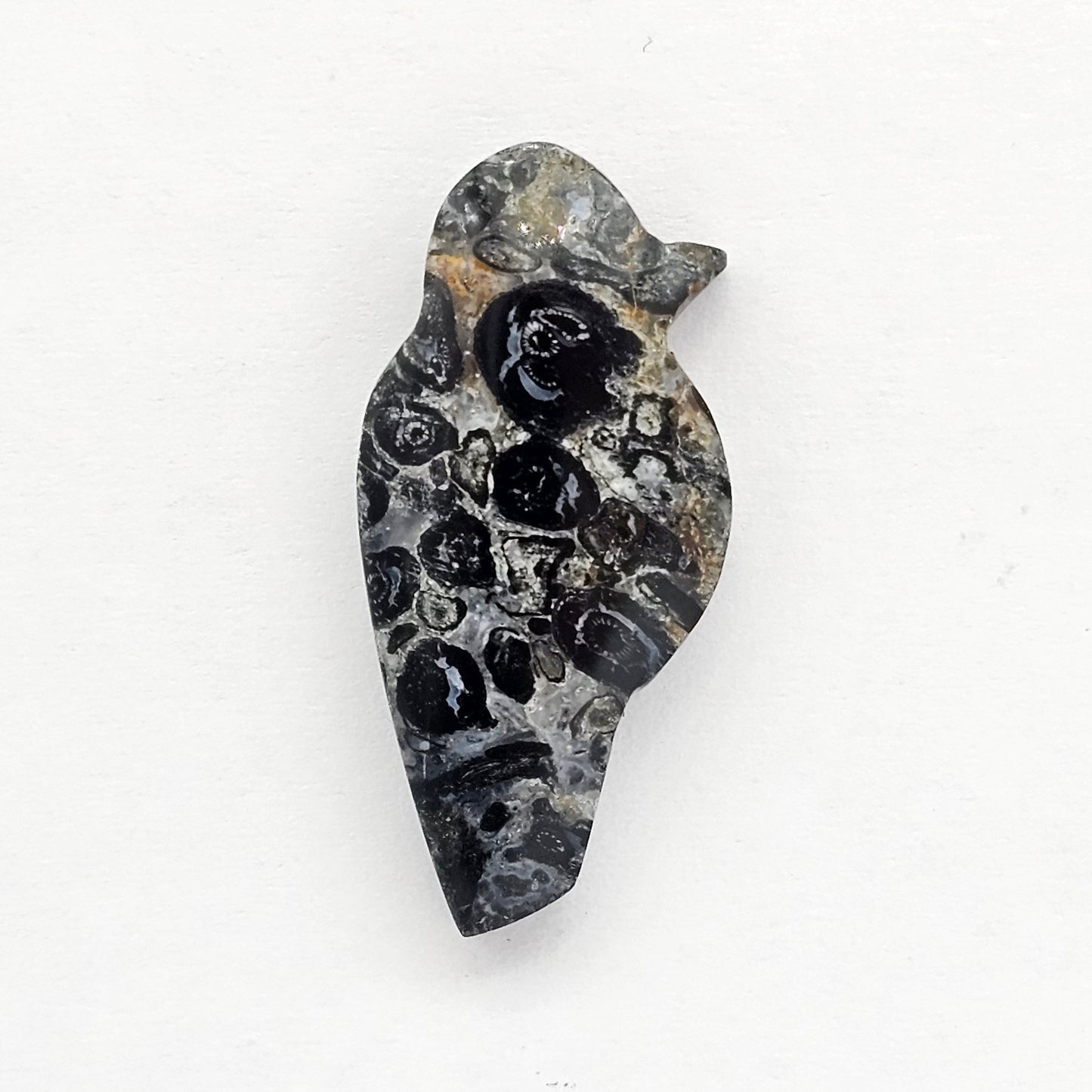 Fossilized Dinosaur Bone Bird Cabochon