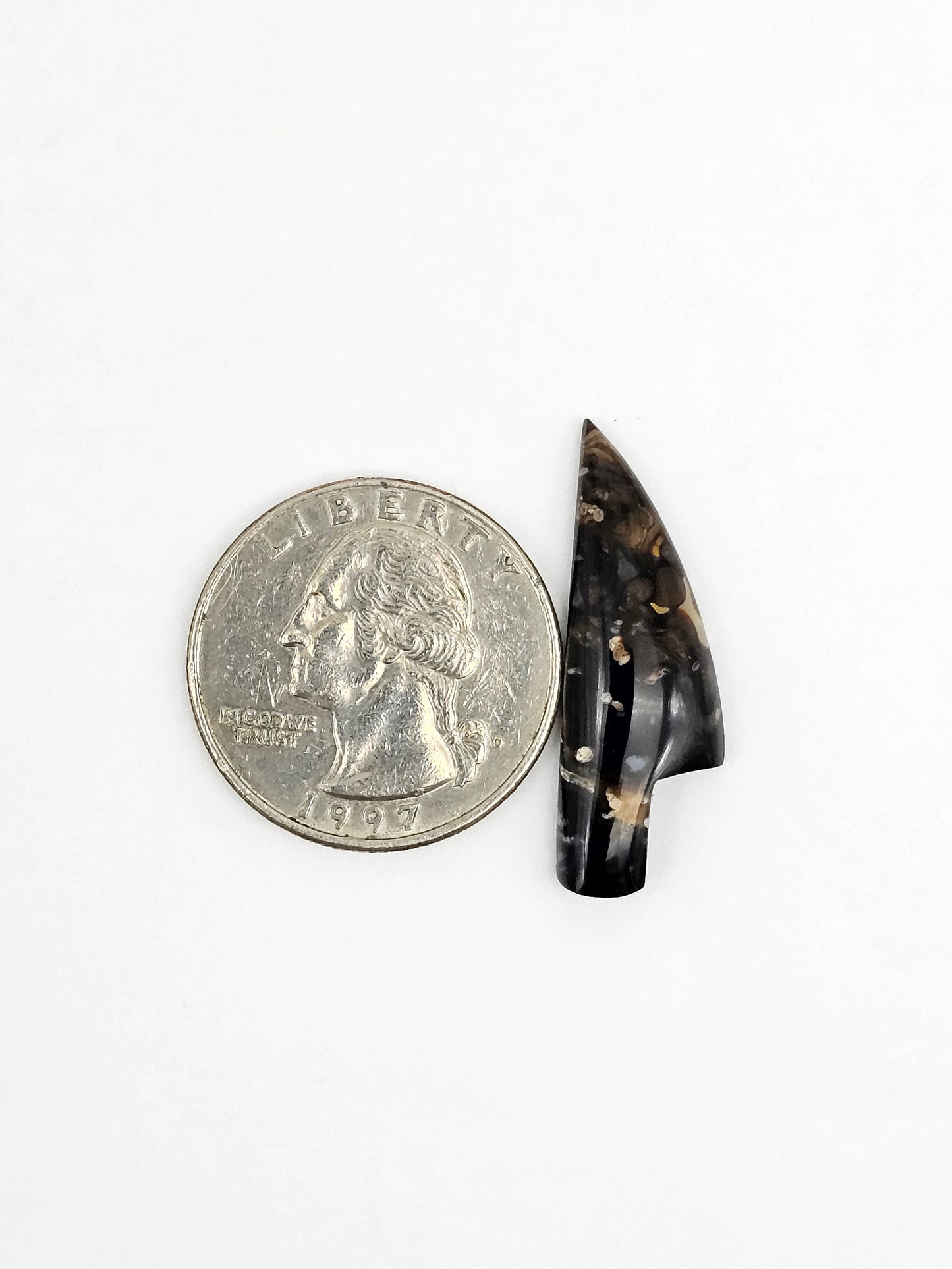 Petrified palm root knife cabochon