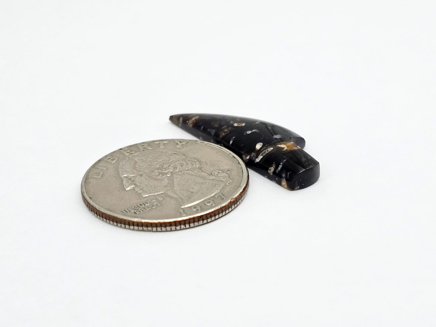 Petrified palm root knife cabochon