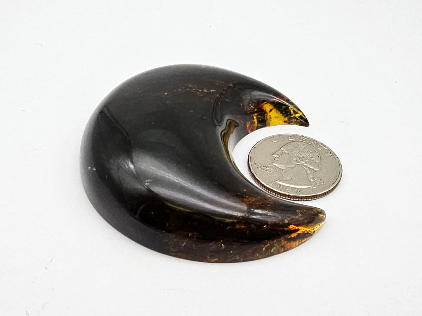 Amber authentic moon cabochon large