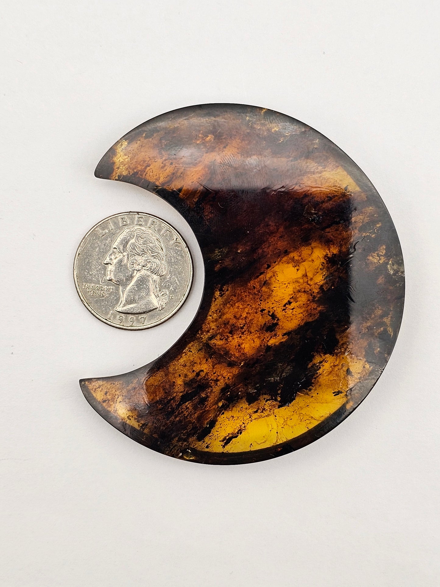 Amber authentic moon cabochon large