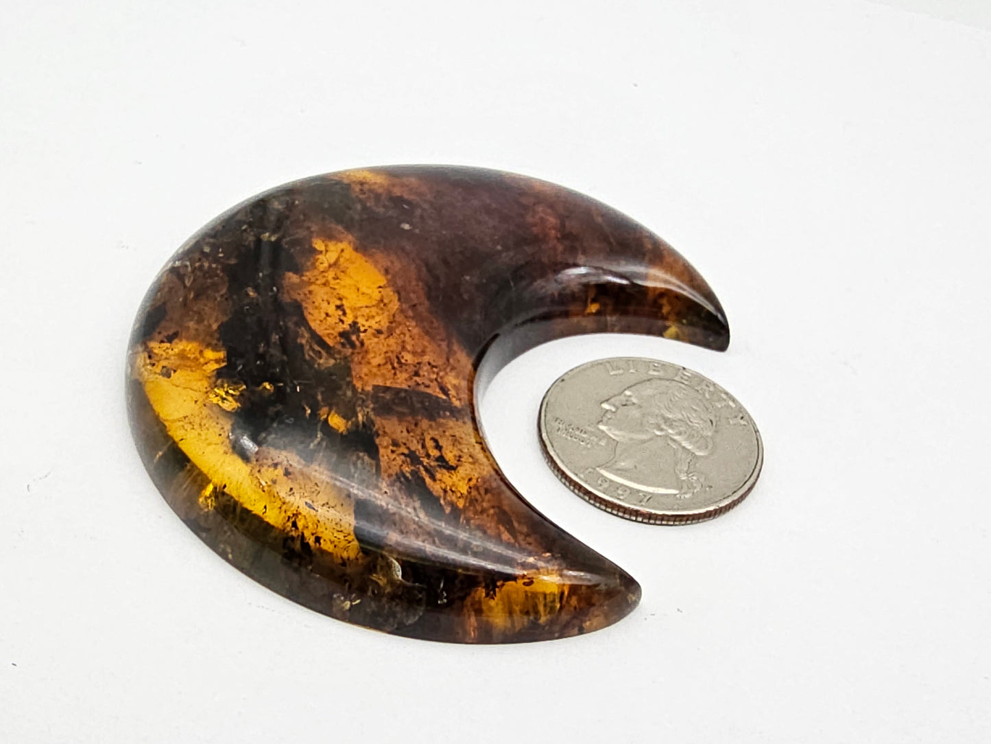 Amber authentic moon cabochon large
