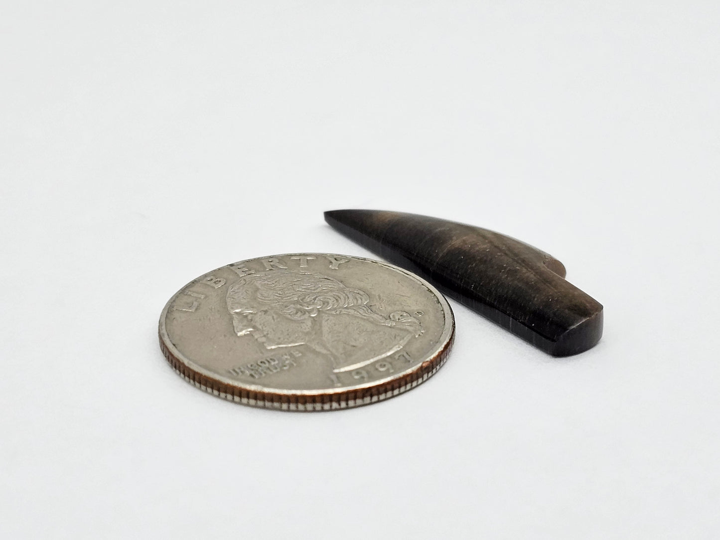 Petrified palm root knife cabochon