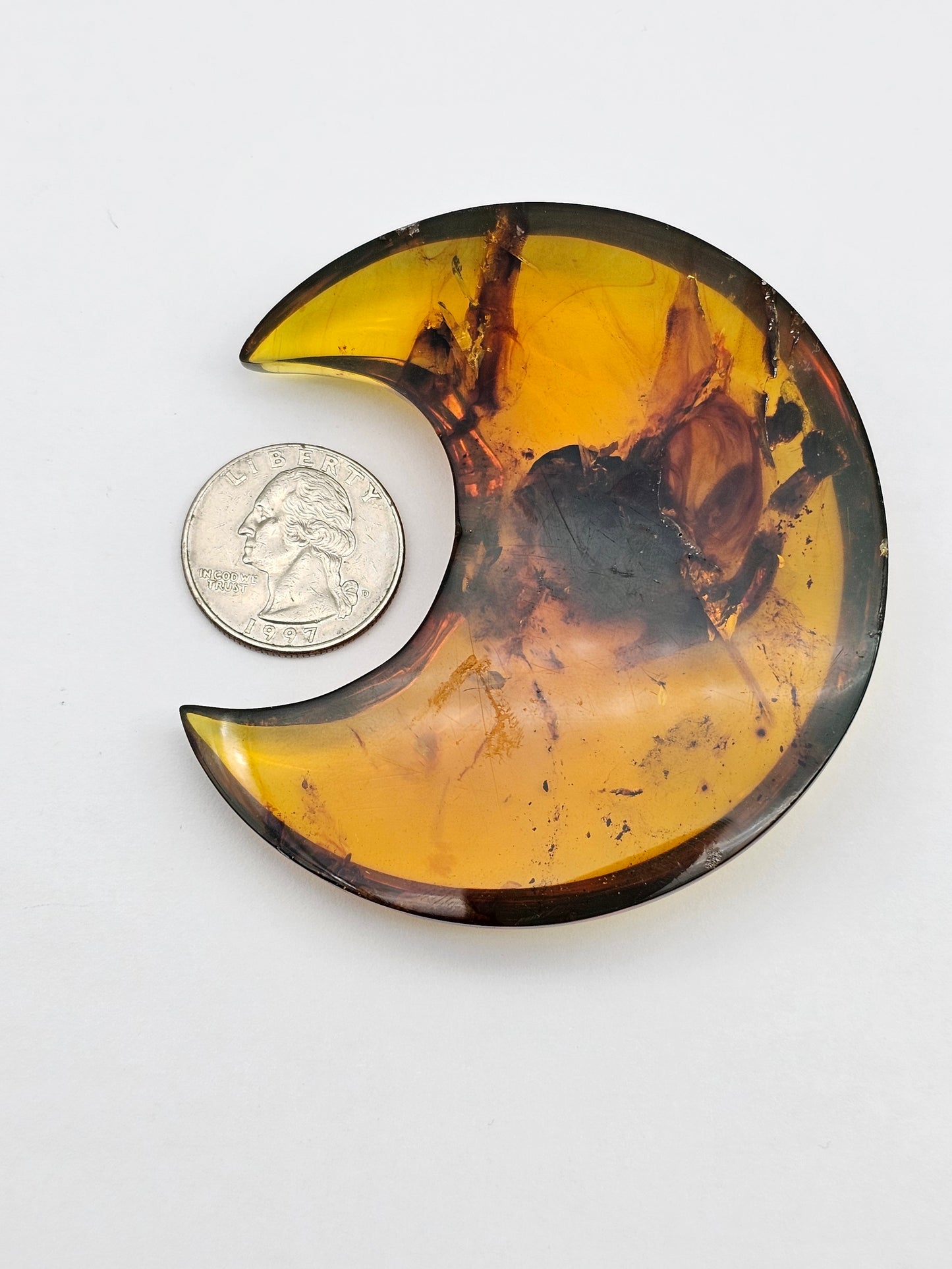 Amber authentic moon cabochon large