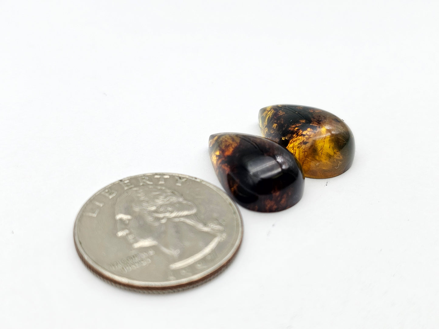 Amber authentic cabochon pair large