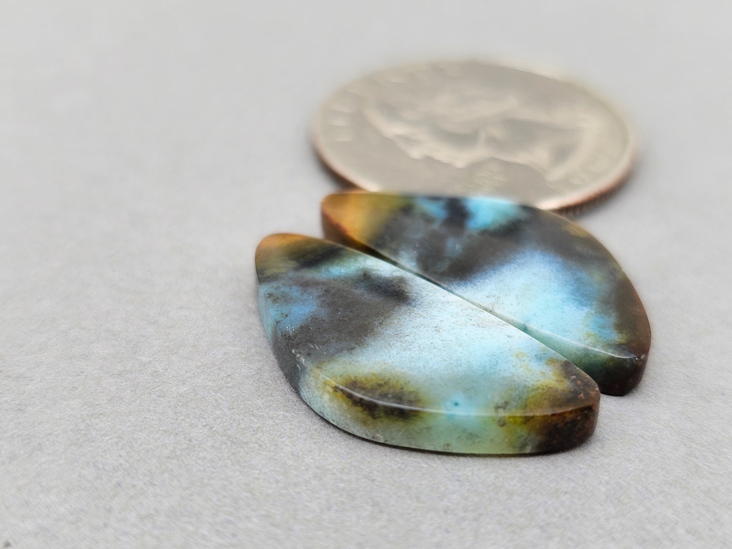 Blue opalized petrified wood Cabochon Pair