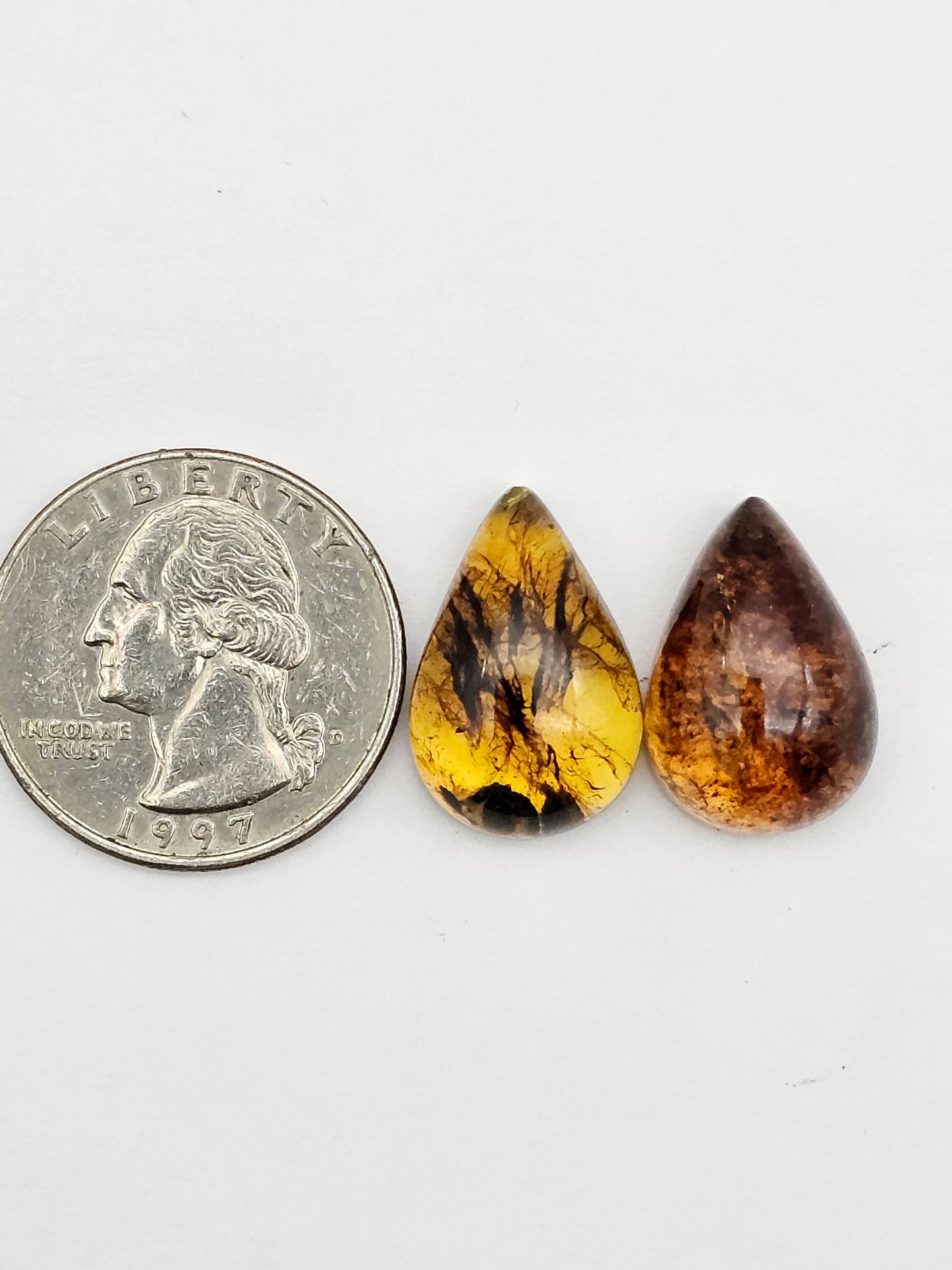 Amber authentic cabochon pair large