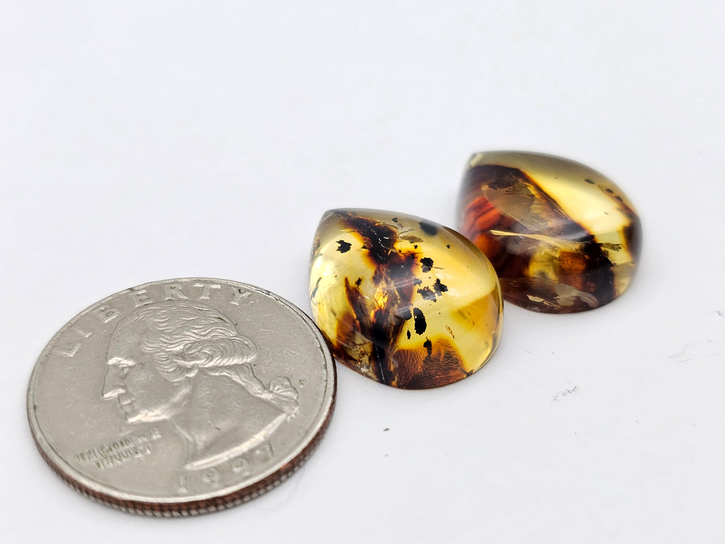 Amber authentic cabochon pair large