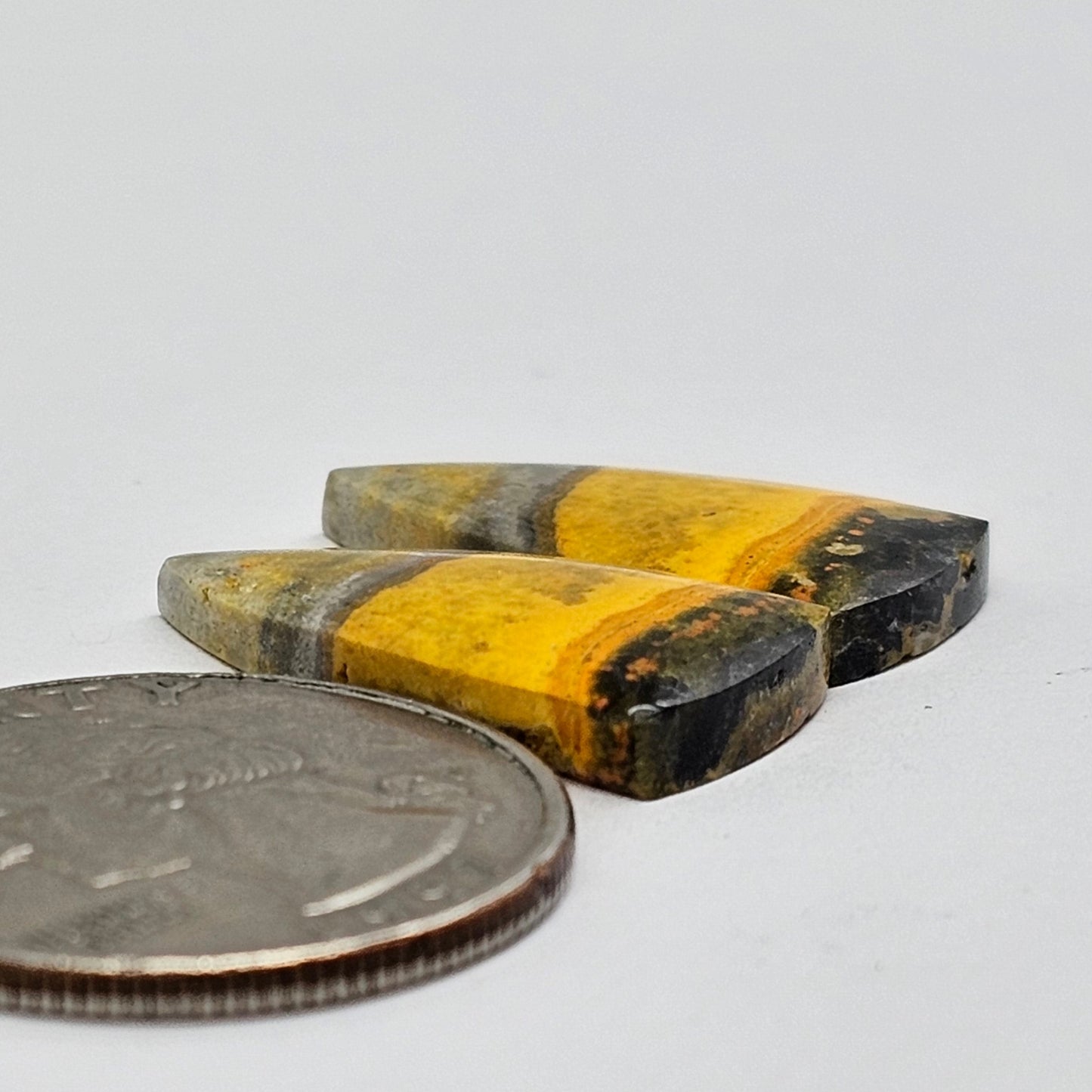 Bumblebee Jasper Cabochon Pair