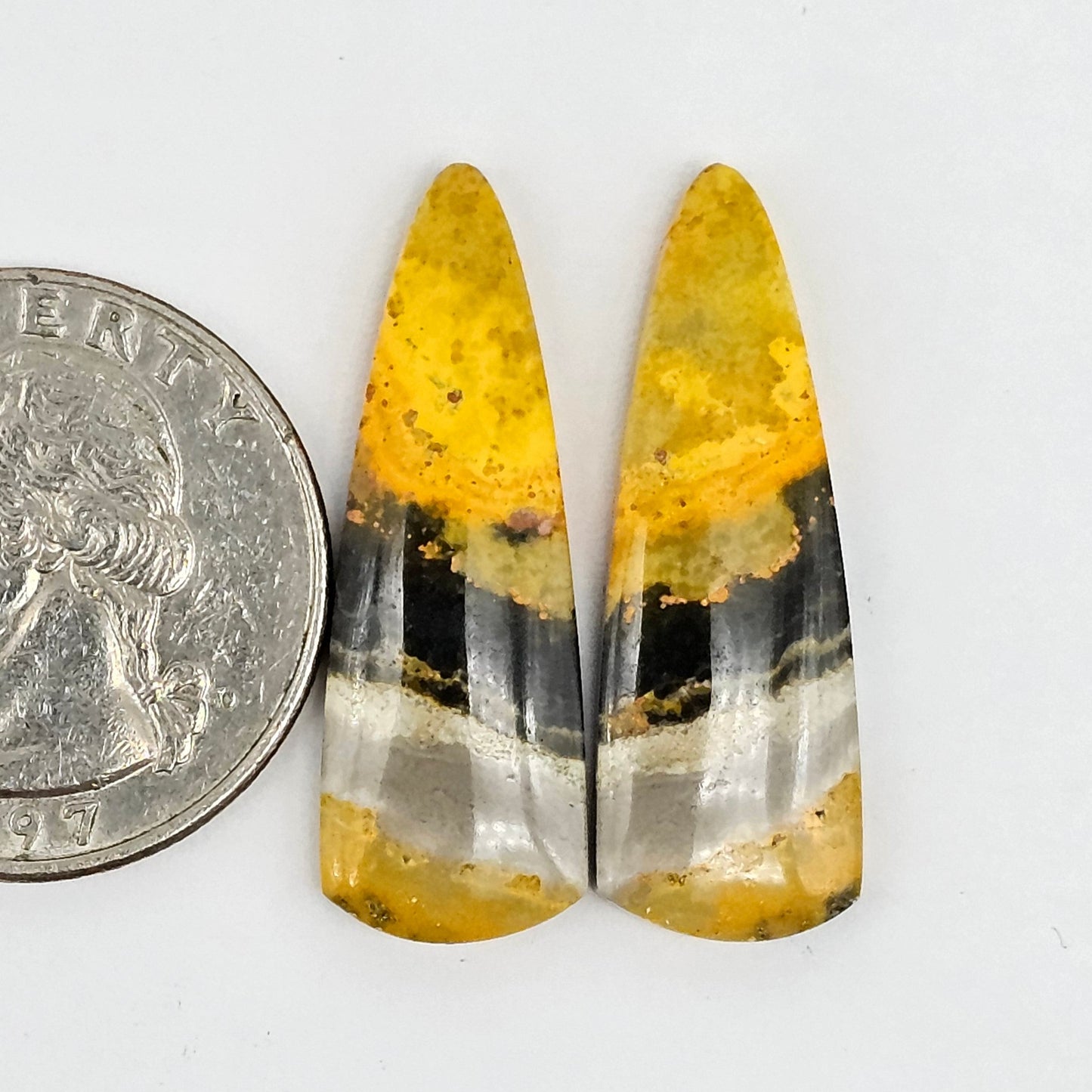 Bumblebee Jasper Cabochon Pair