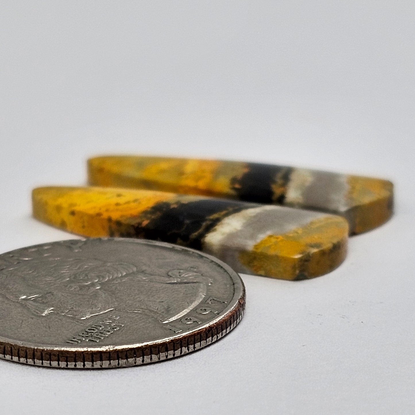 Bumblebee Jasper Cabochon Pair