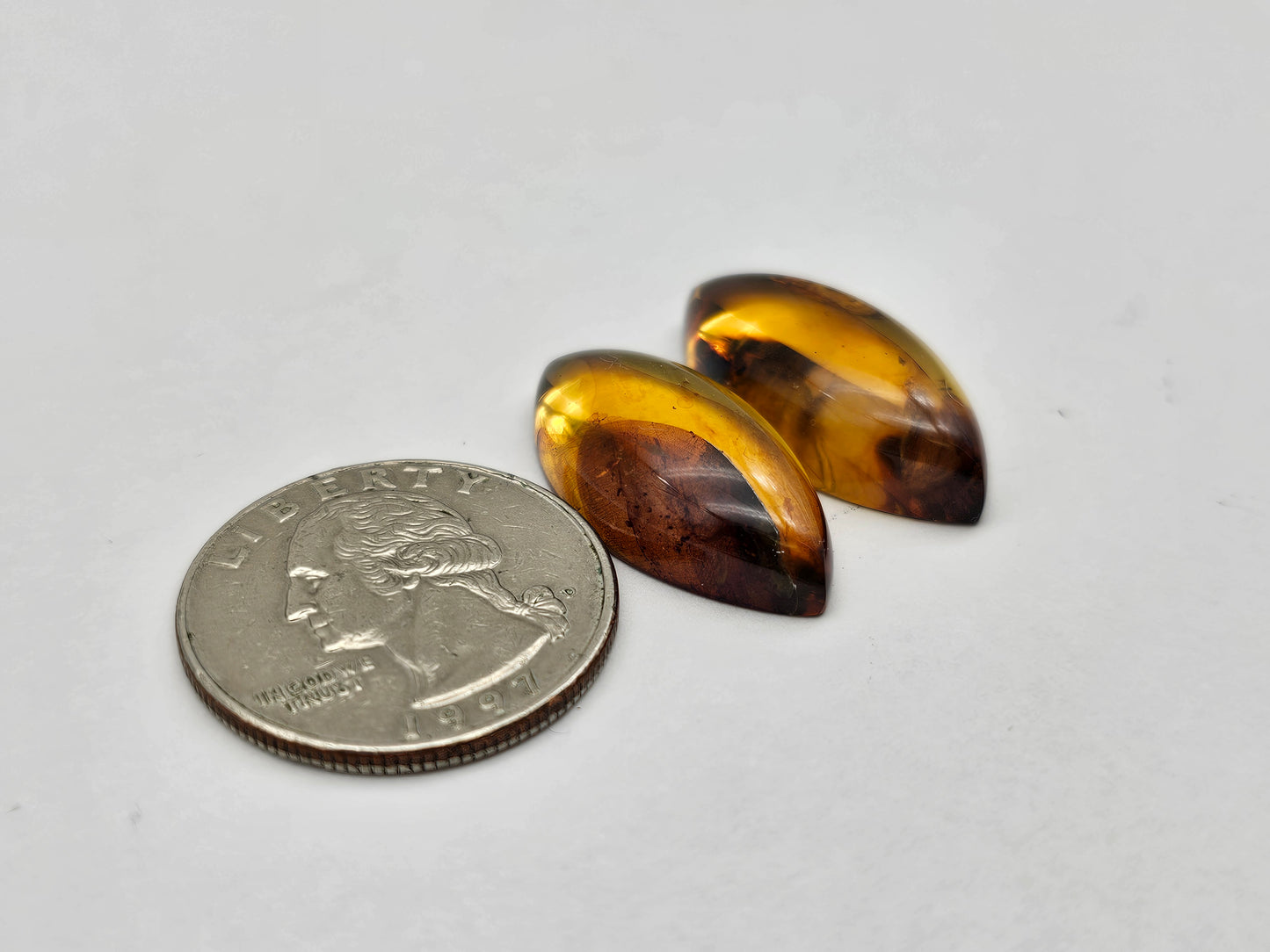 Amber authentic cabochon pair large