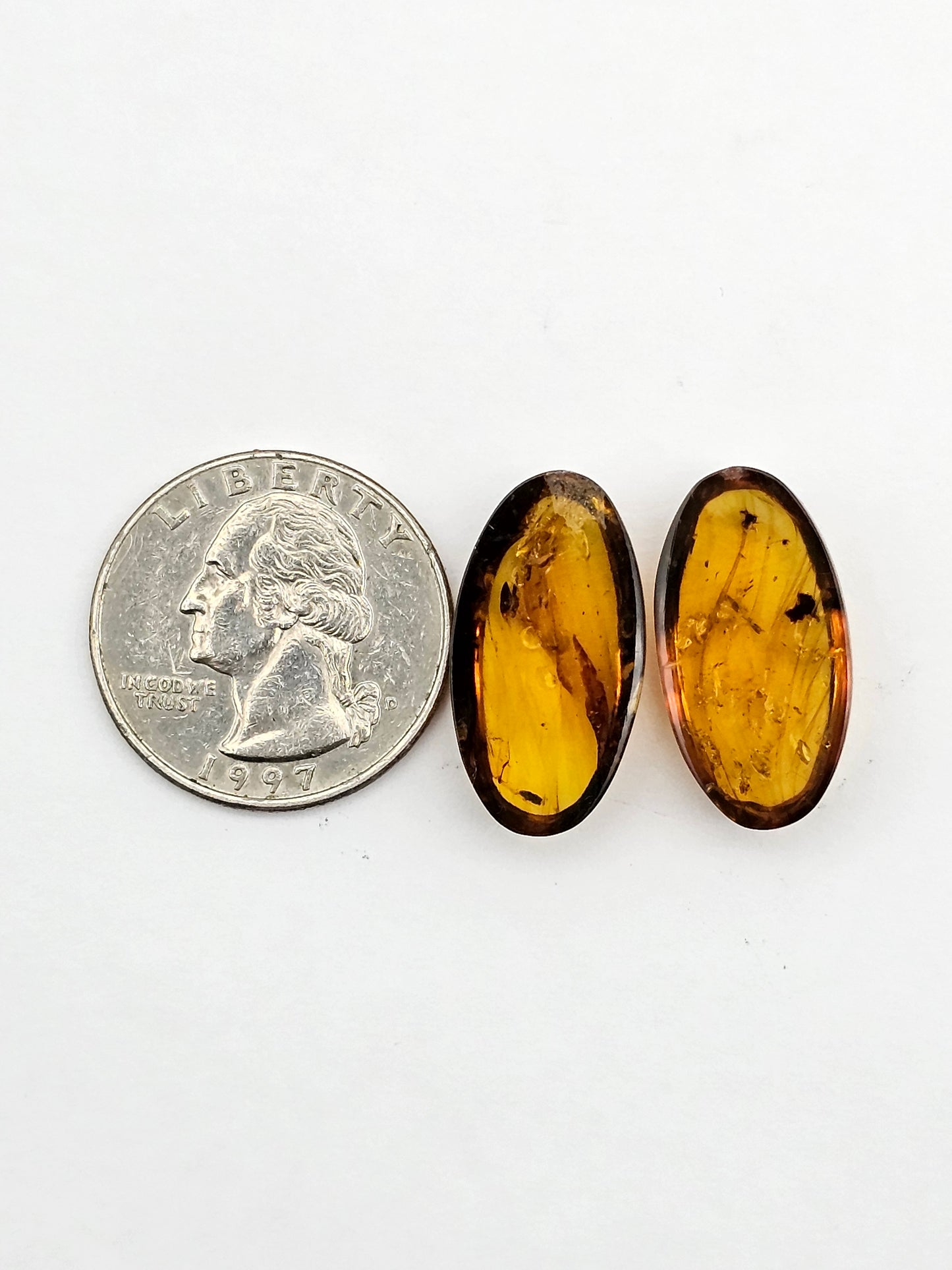 Amber authentic cabochon pair large