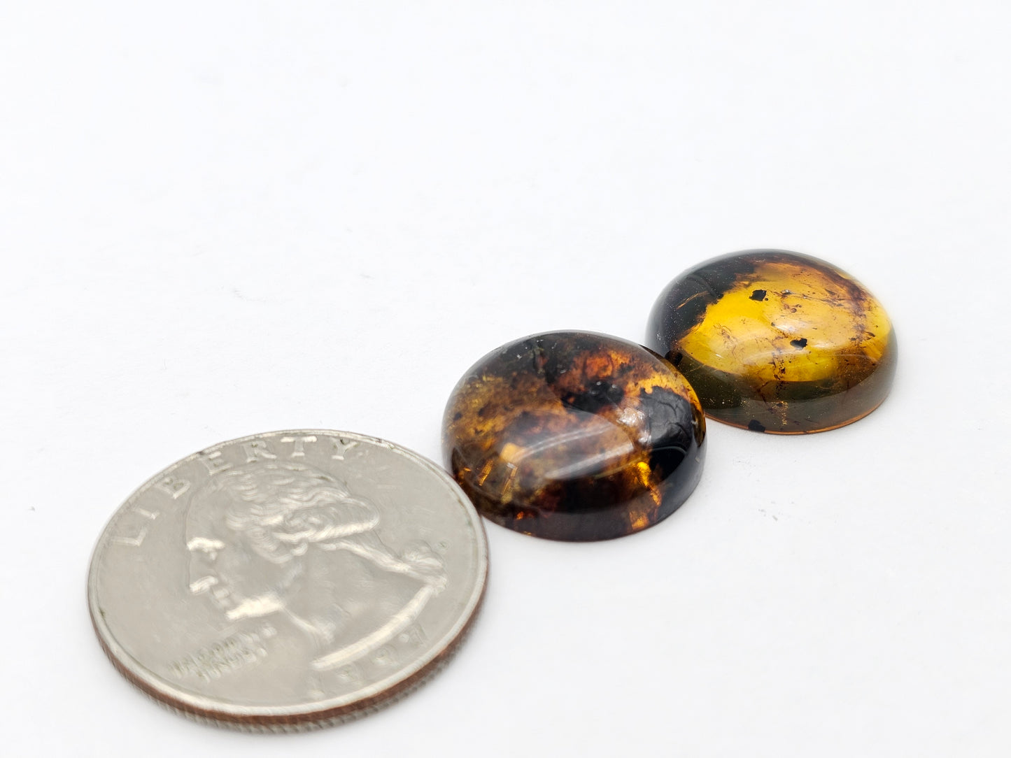 Amber authentic cabochon pair large