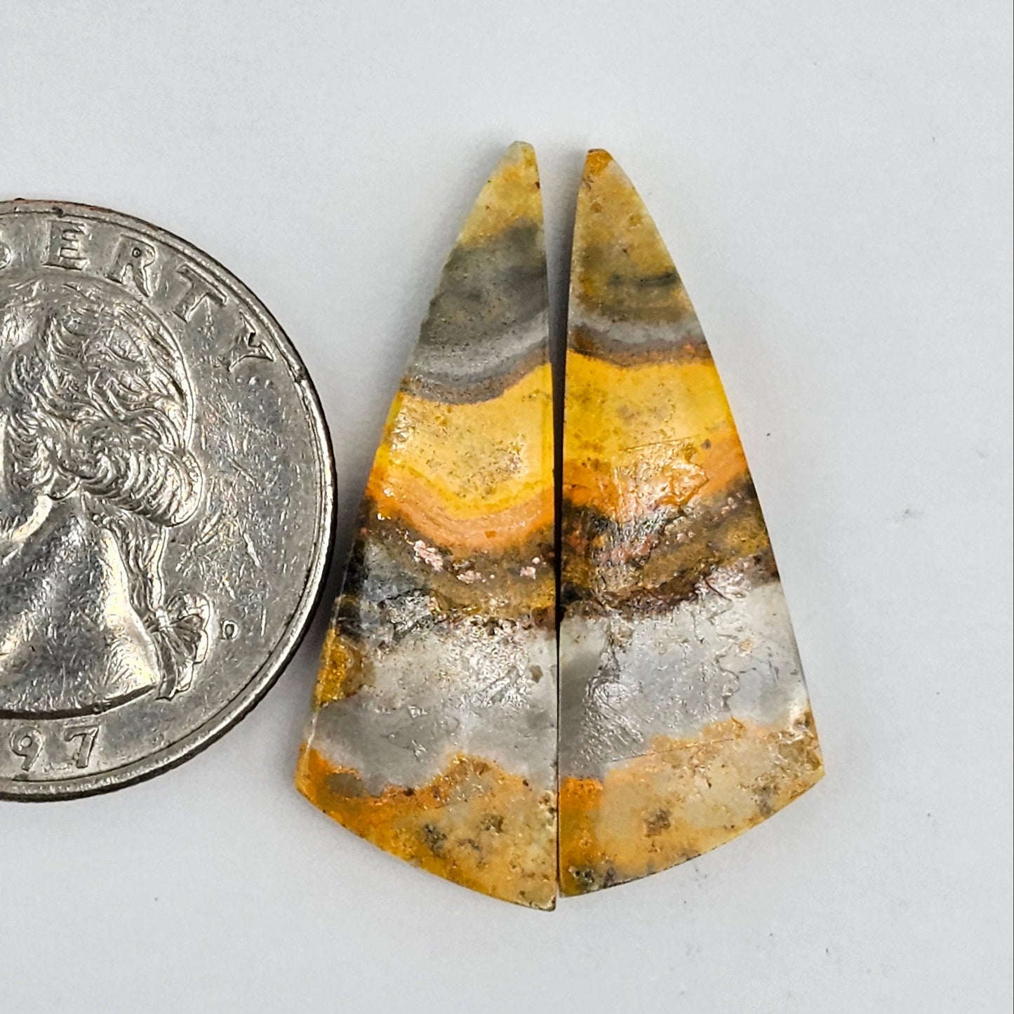 Bumblebee Jasper Cabochon Pair