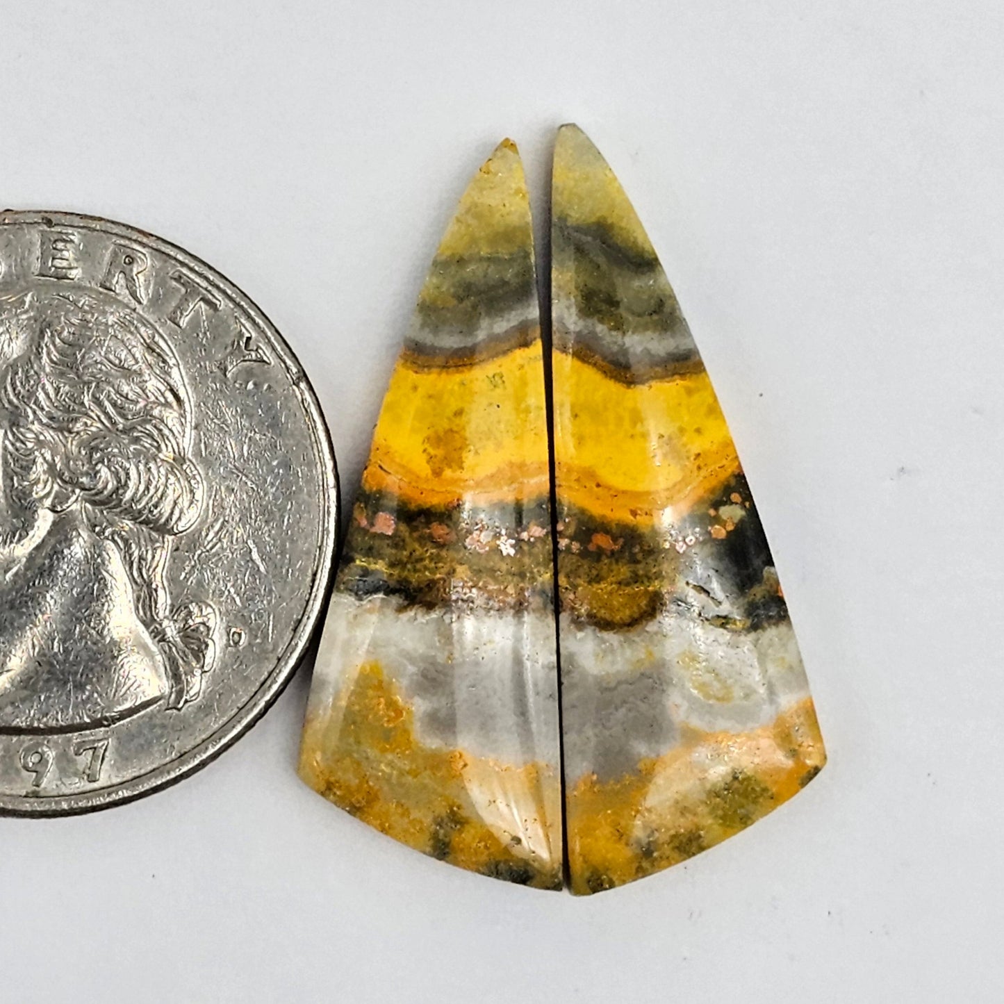 Bumblebee Jasper Cabochon Pair