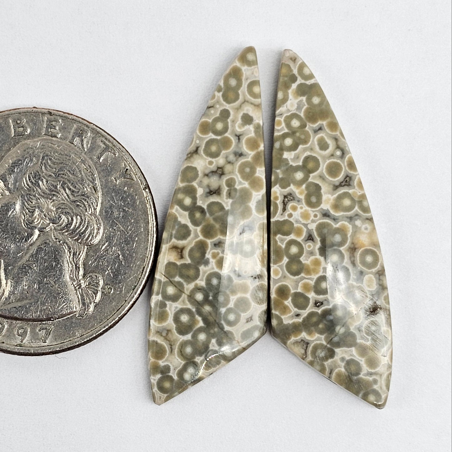 River Jasper Cabochon Pair