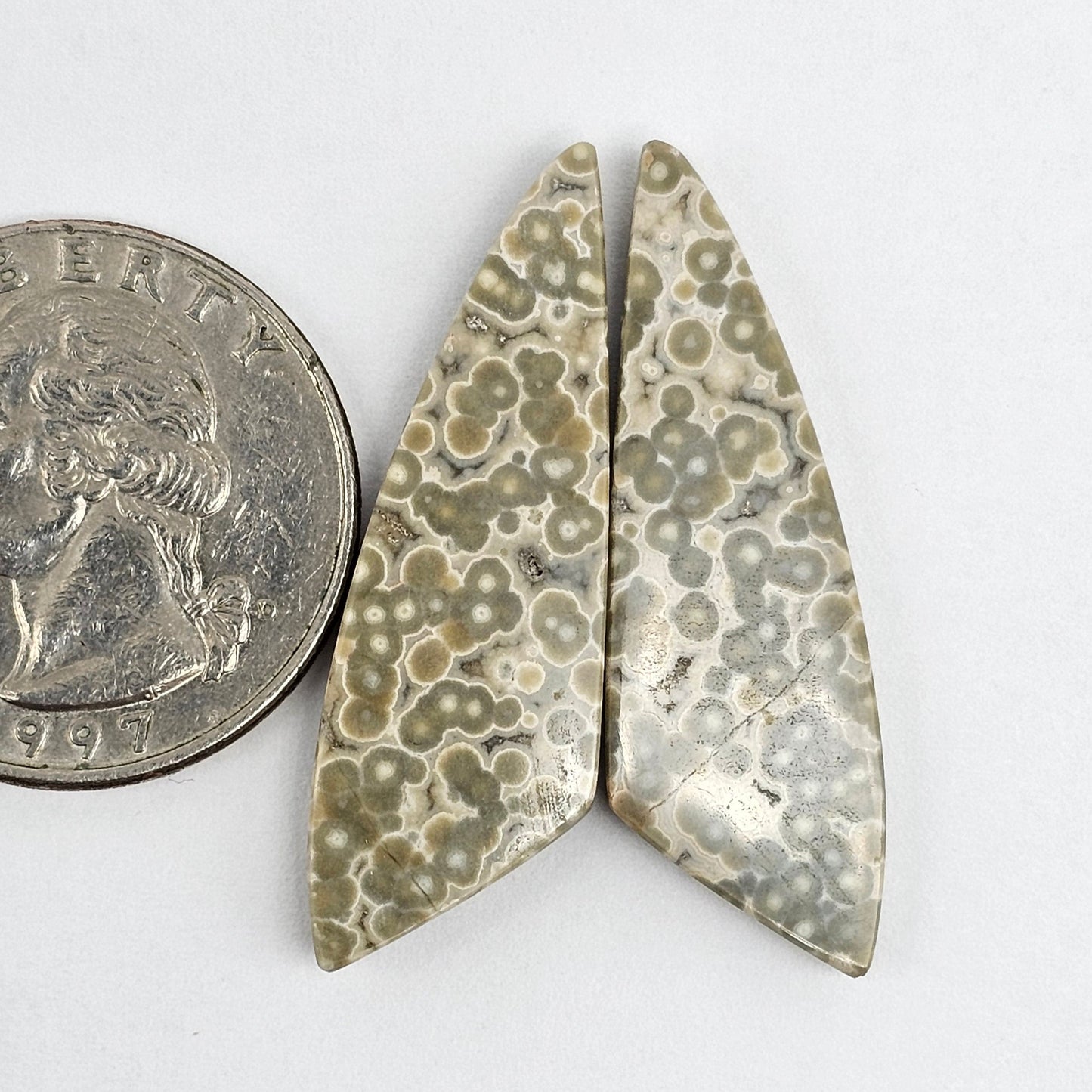 River Jasper Cabochon Pair
