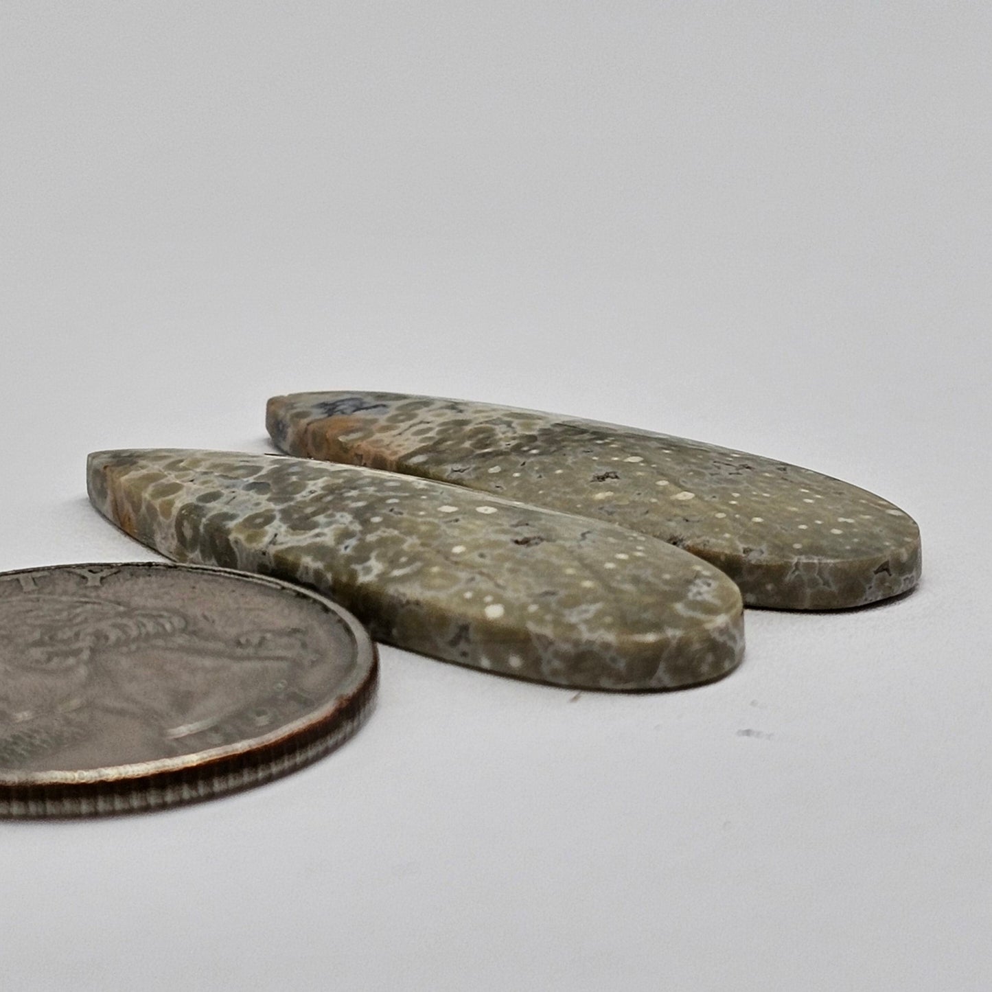 River Jasper Cabochon Pair