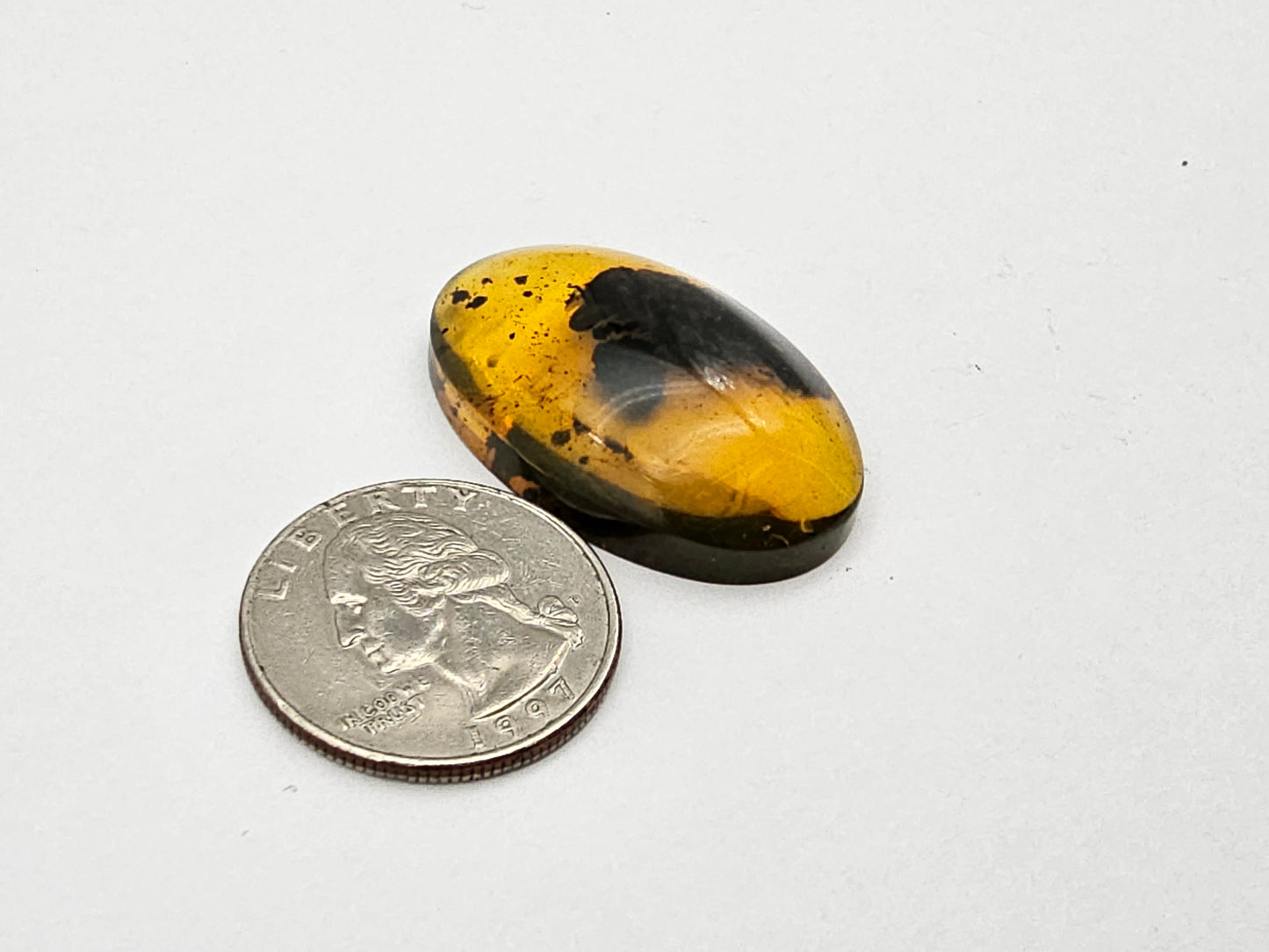 Amber authentic cabochon large