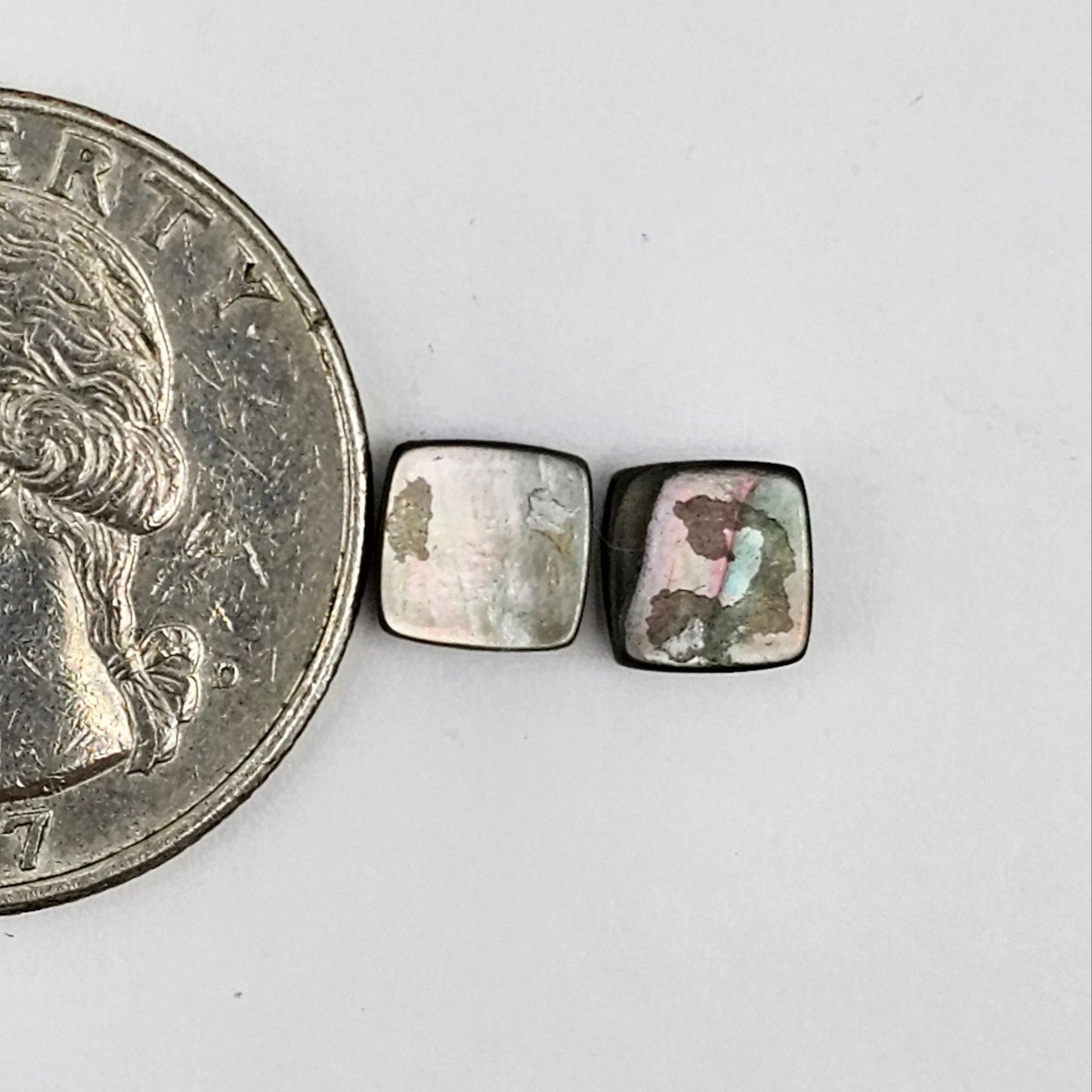 Mother of Pearl Flower Cabochon Pair