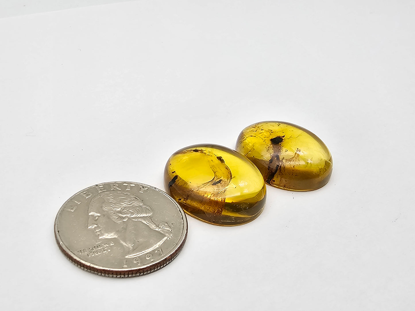 Amber authentic cabochon pair large