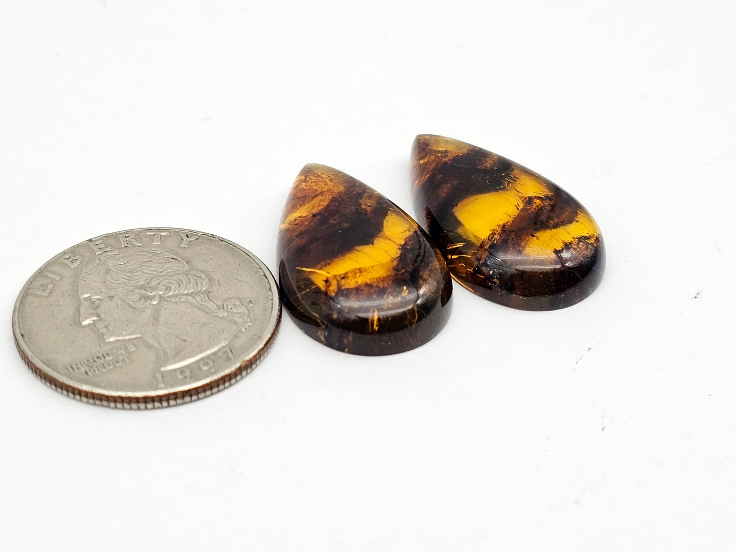 Amber authentic cabochon pair large
