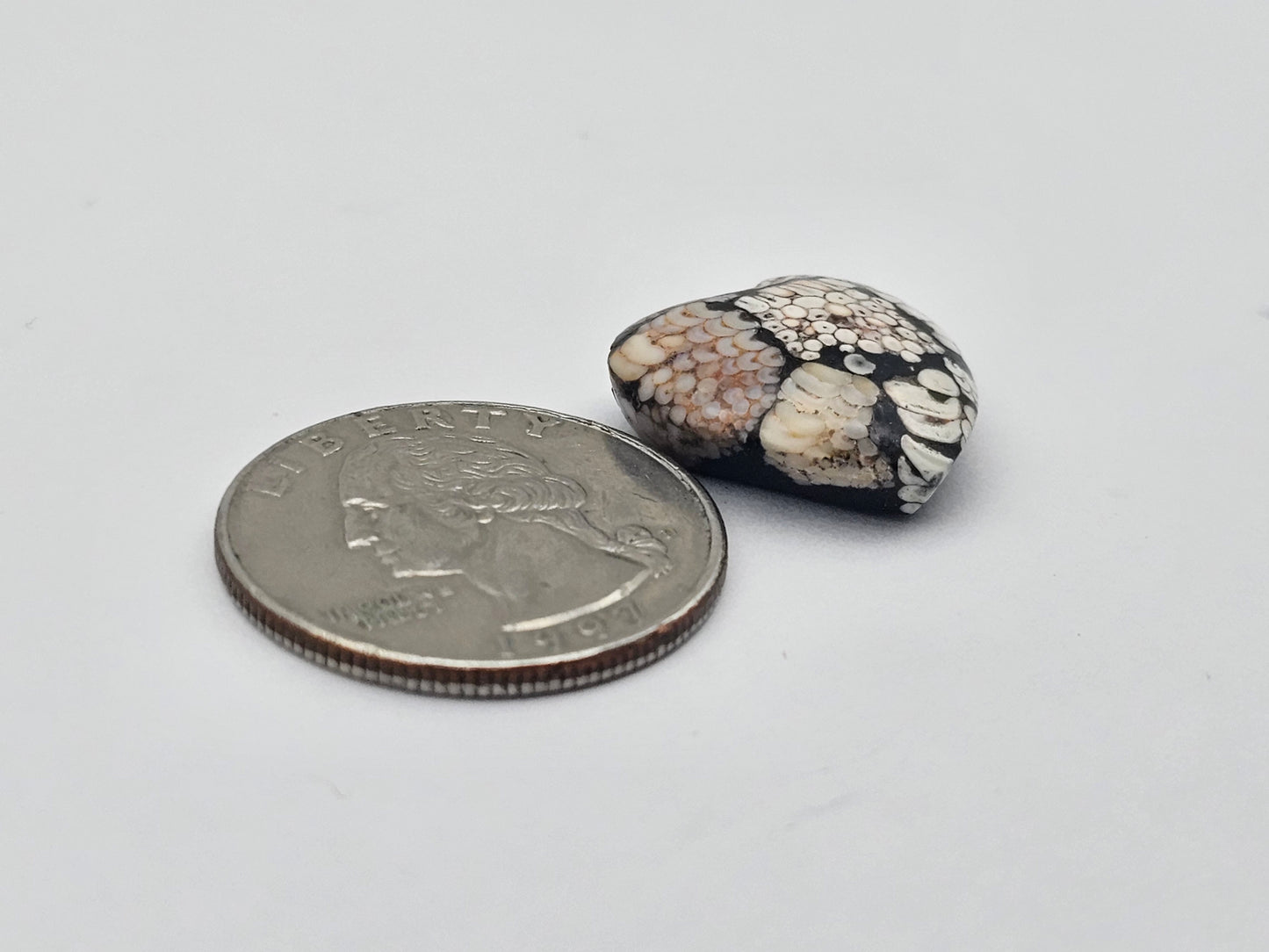 Snake skin agate heart cabochon