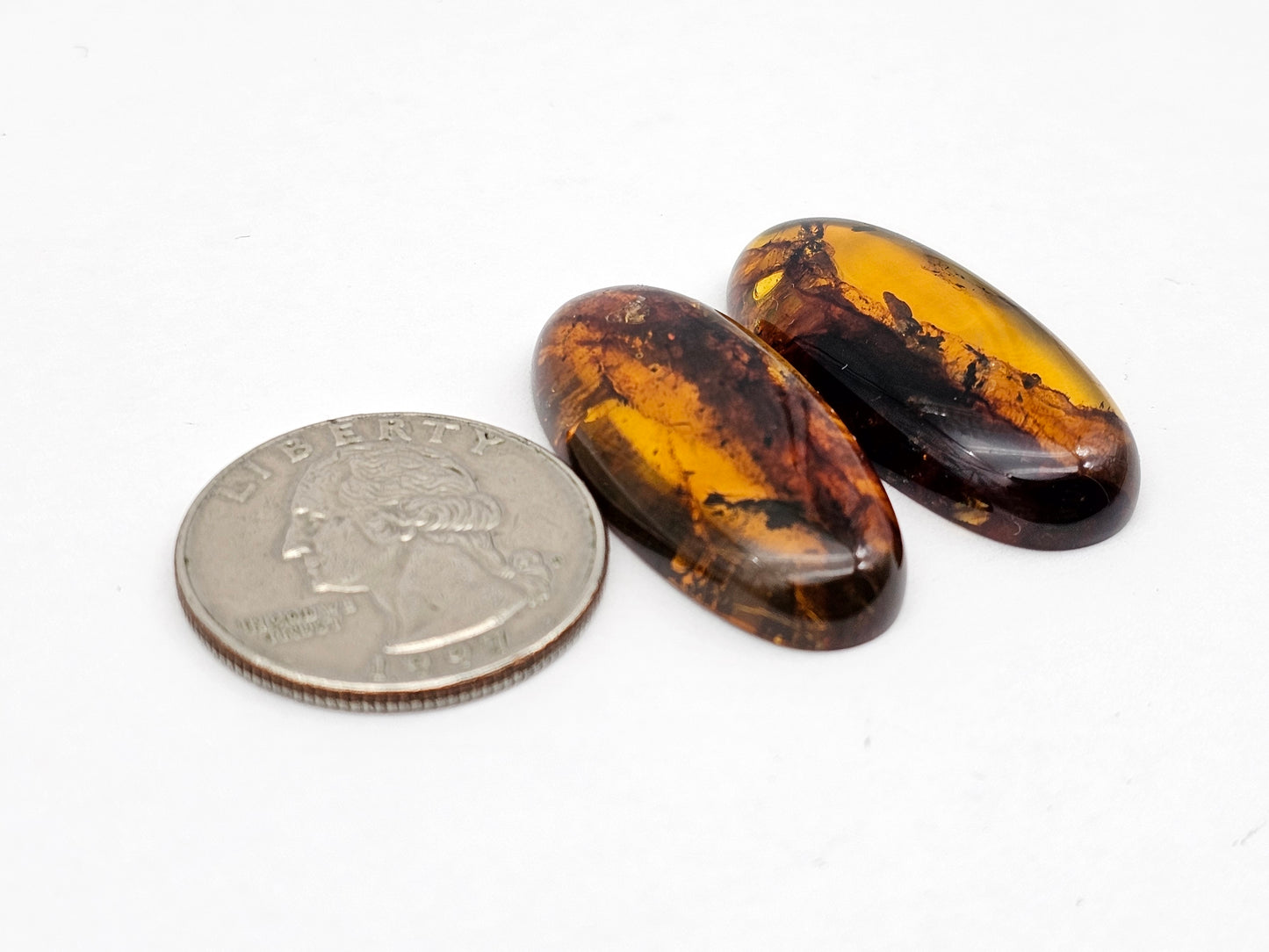 Amber authentic cabochon pair large