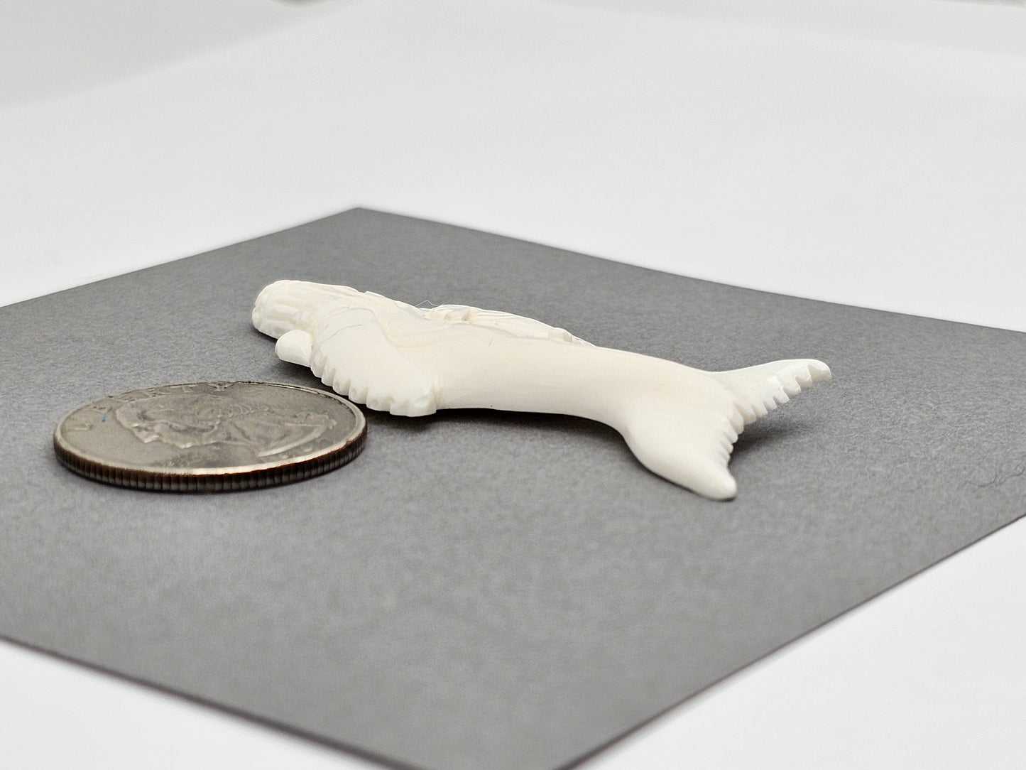 Whale Bone Carving Cabochon