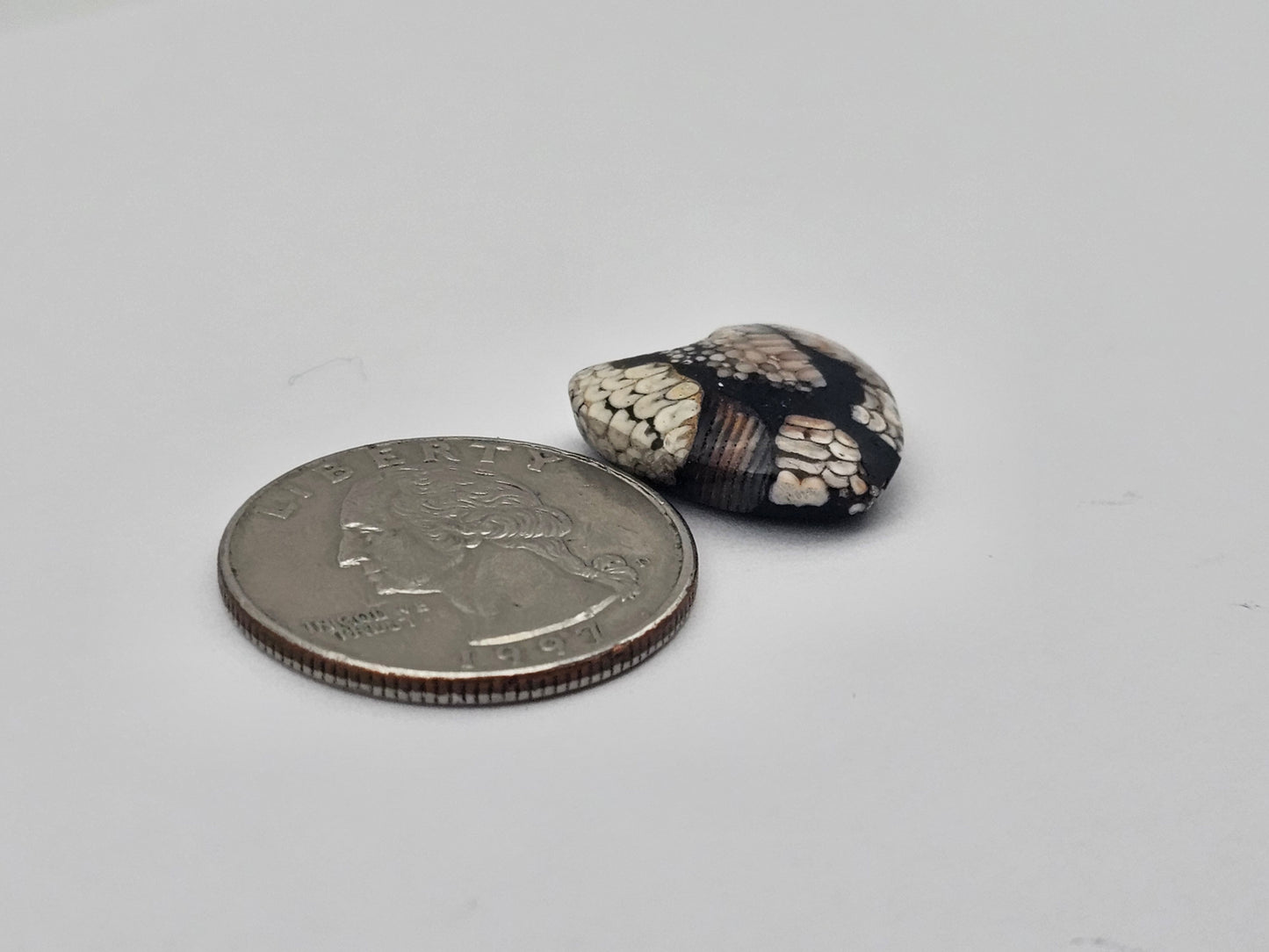 Snake skin agate heart cabochon