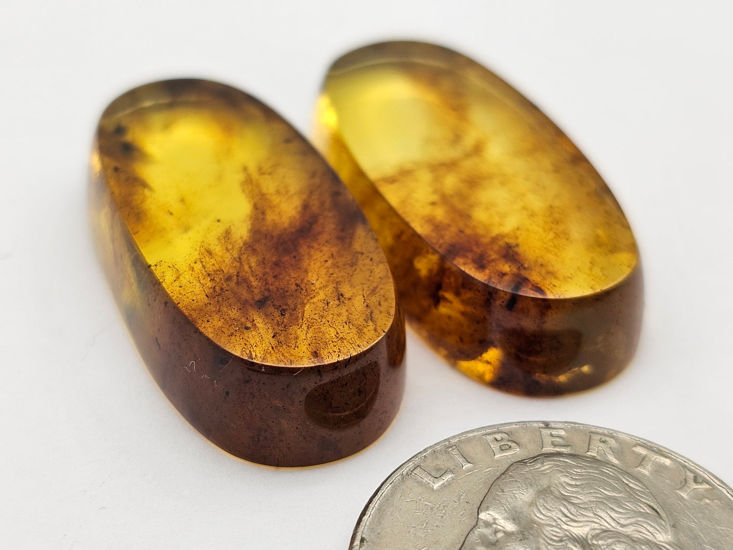 Amber authentic cabochon pair large