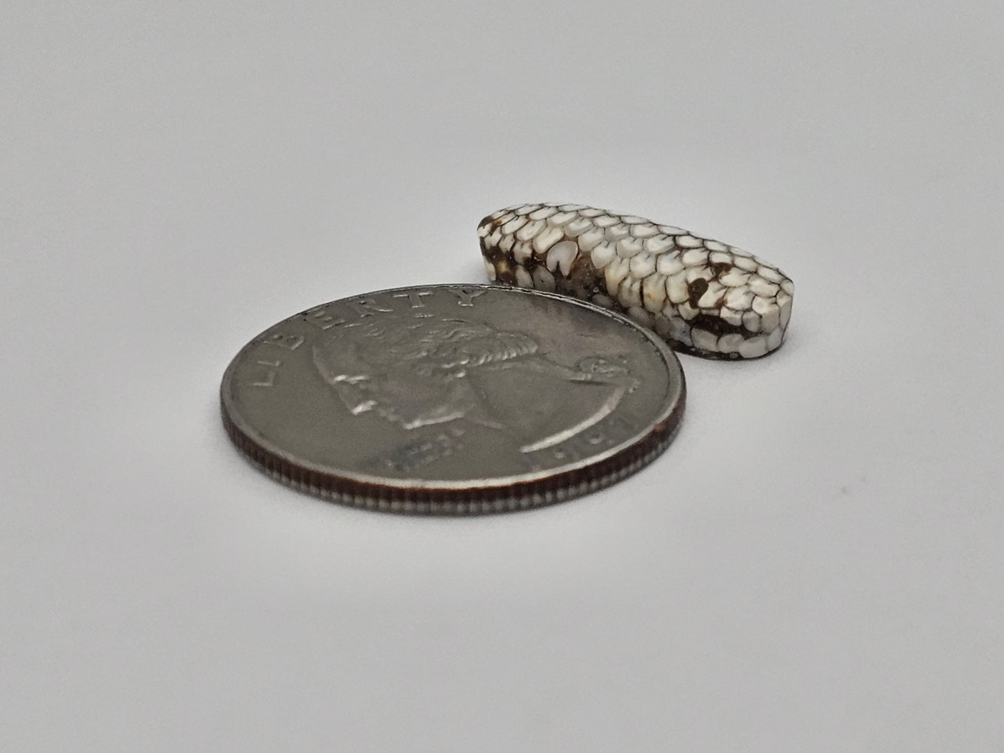 Snake skin agate cabochon