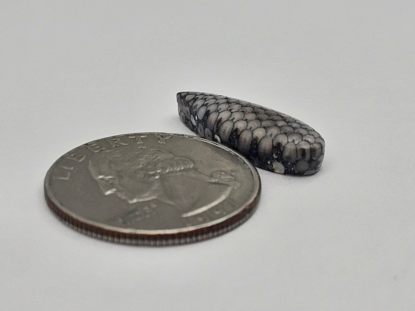 Snake skin agate cabochon