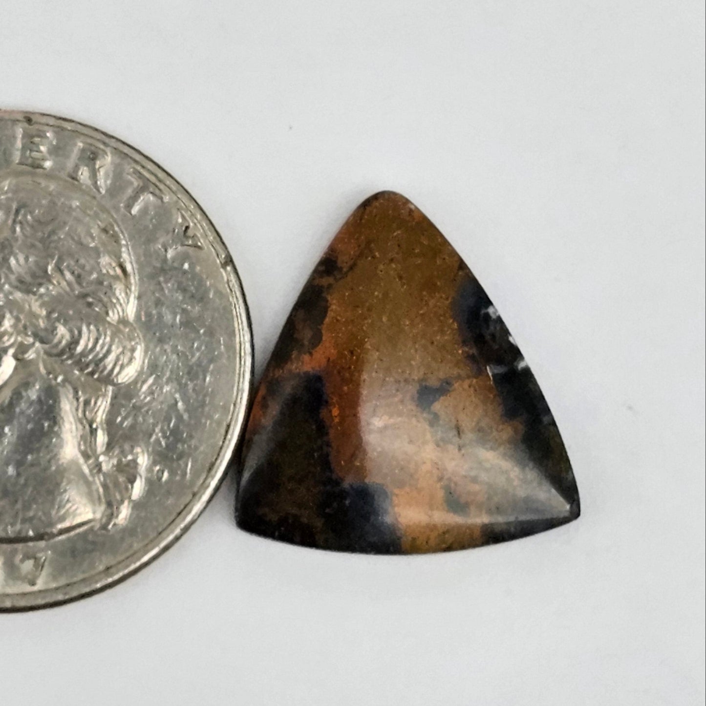 Blue Opal Petrified Wood Cabochon - High Quality
