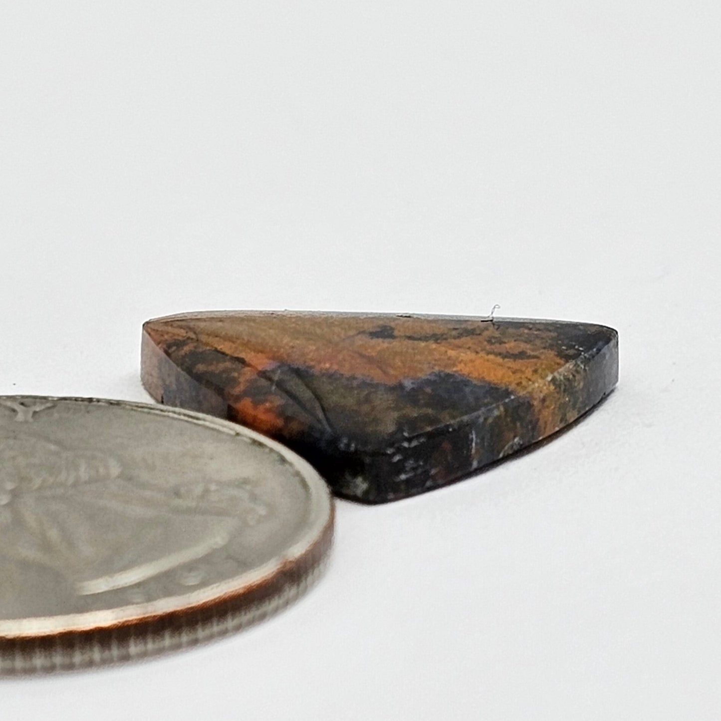 Blue Opal Petrified Wood Cabochon - High Quality
