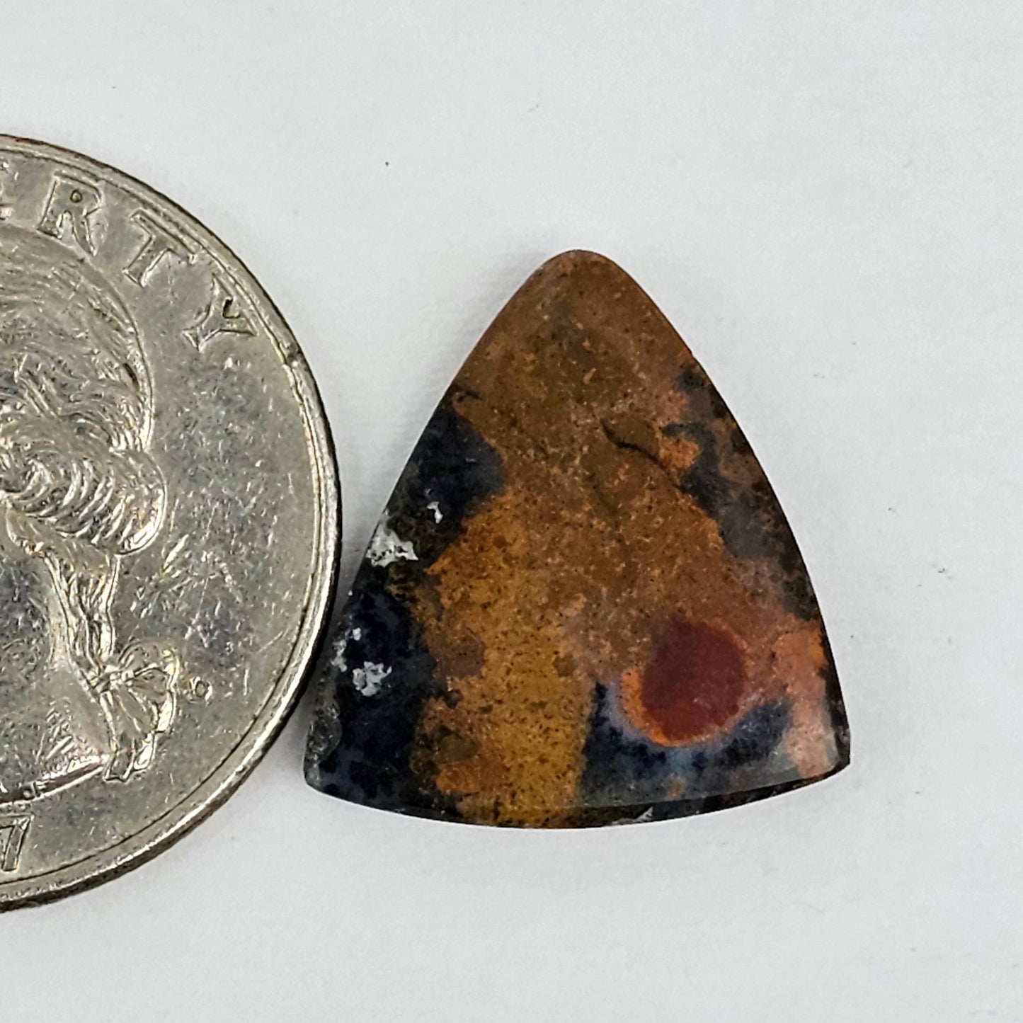 Blue Opal Petrified Wood Cabochon - High Quality