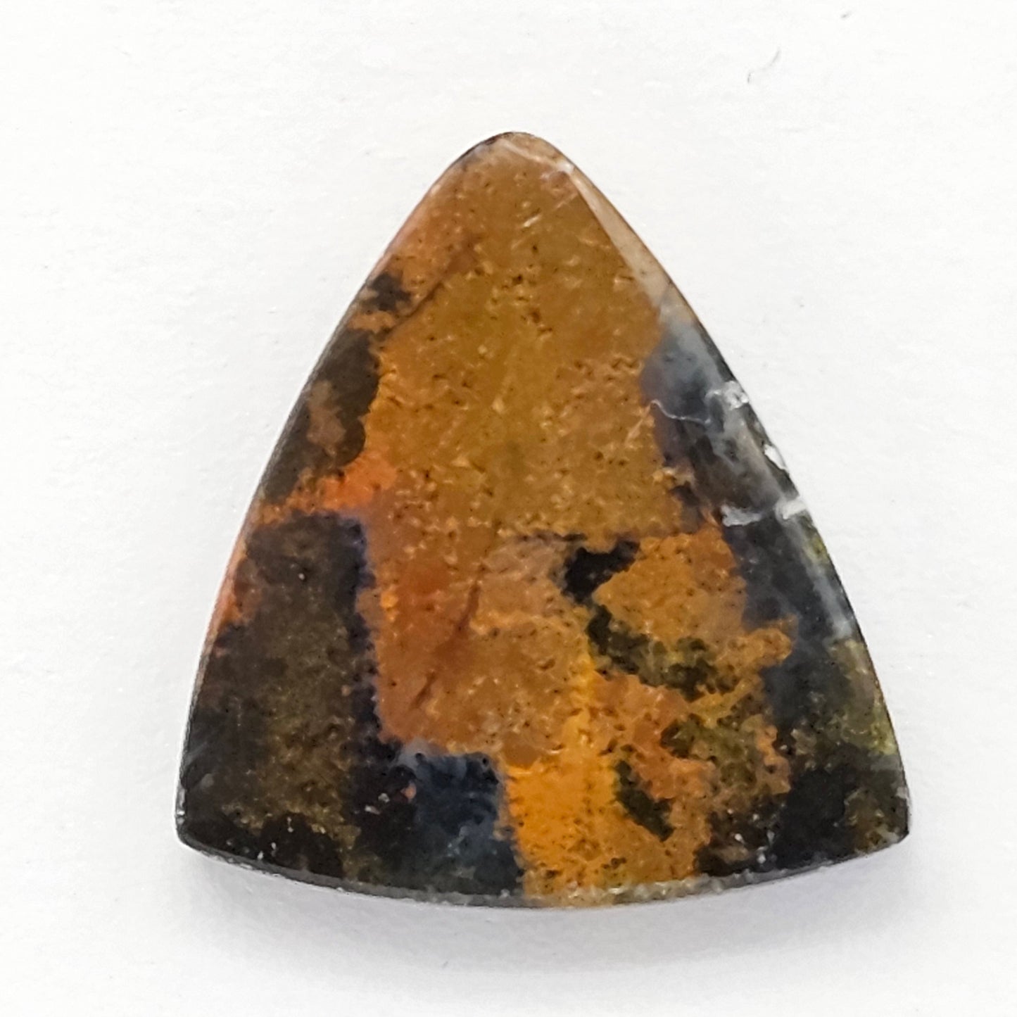 Blue Opal Petrified Wood Cabochon - High Quality