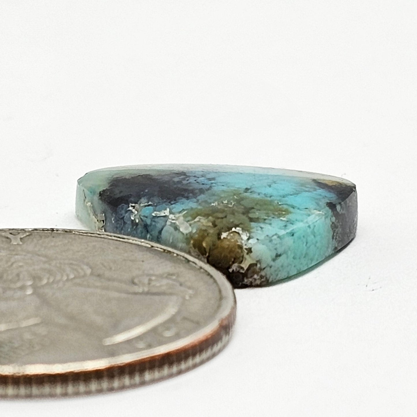 Blue Opal Petrified Wood Cabochon - High Quality