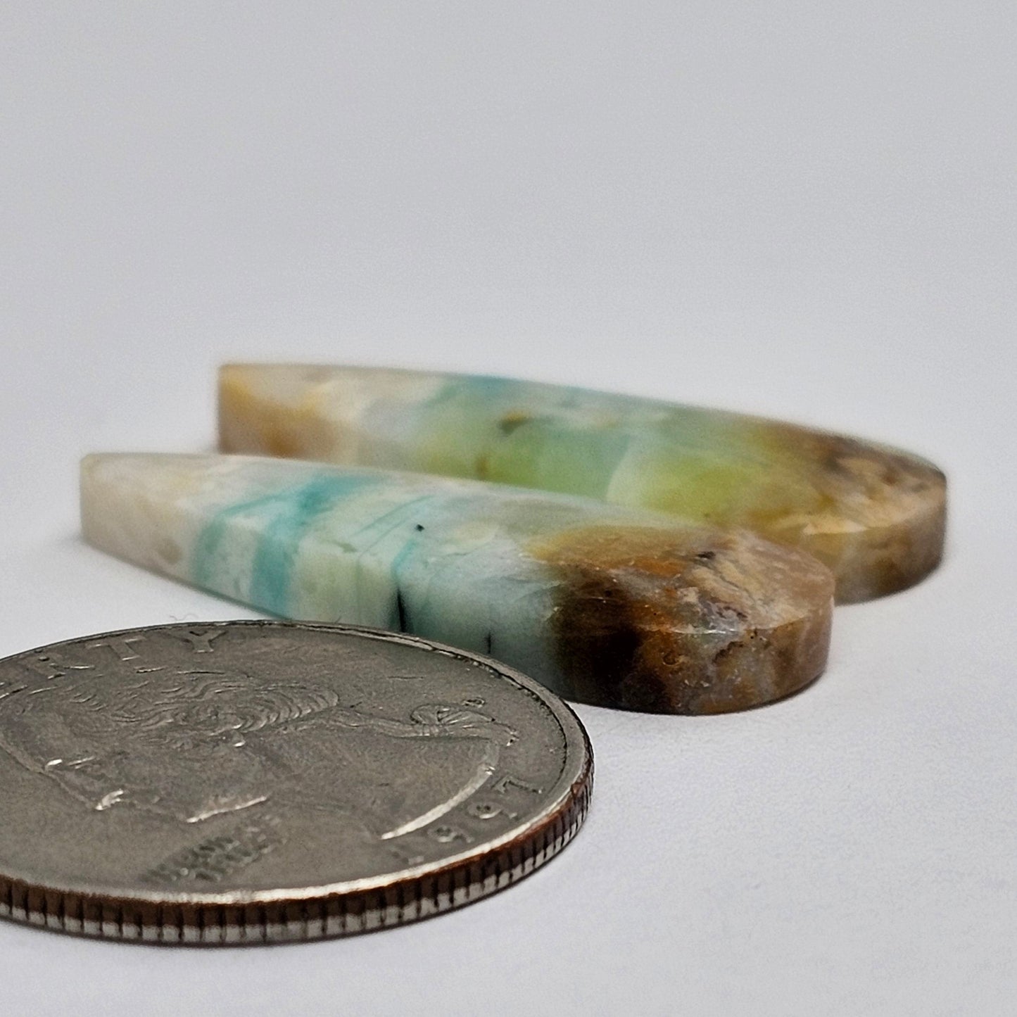 Blue Opal Petrified Wood Cabochon Pair