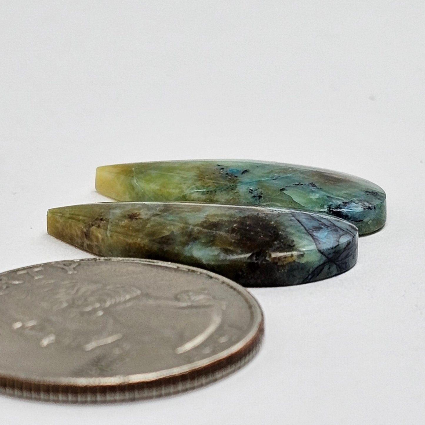 Blue Opal Petrified Wood Cabochon Pair